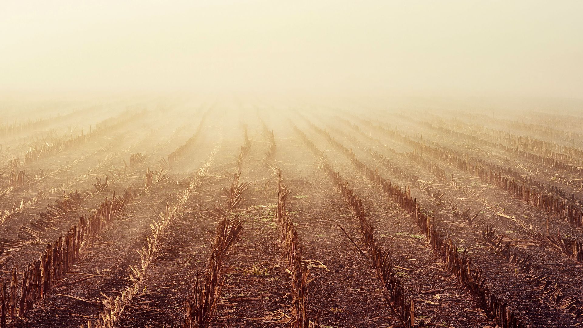 18. Toute mauvaise récolte pourrait se transformer en famine