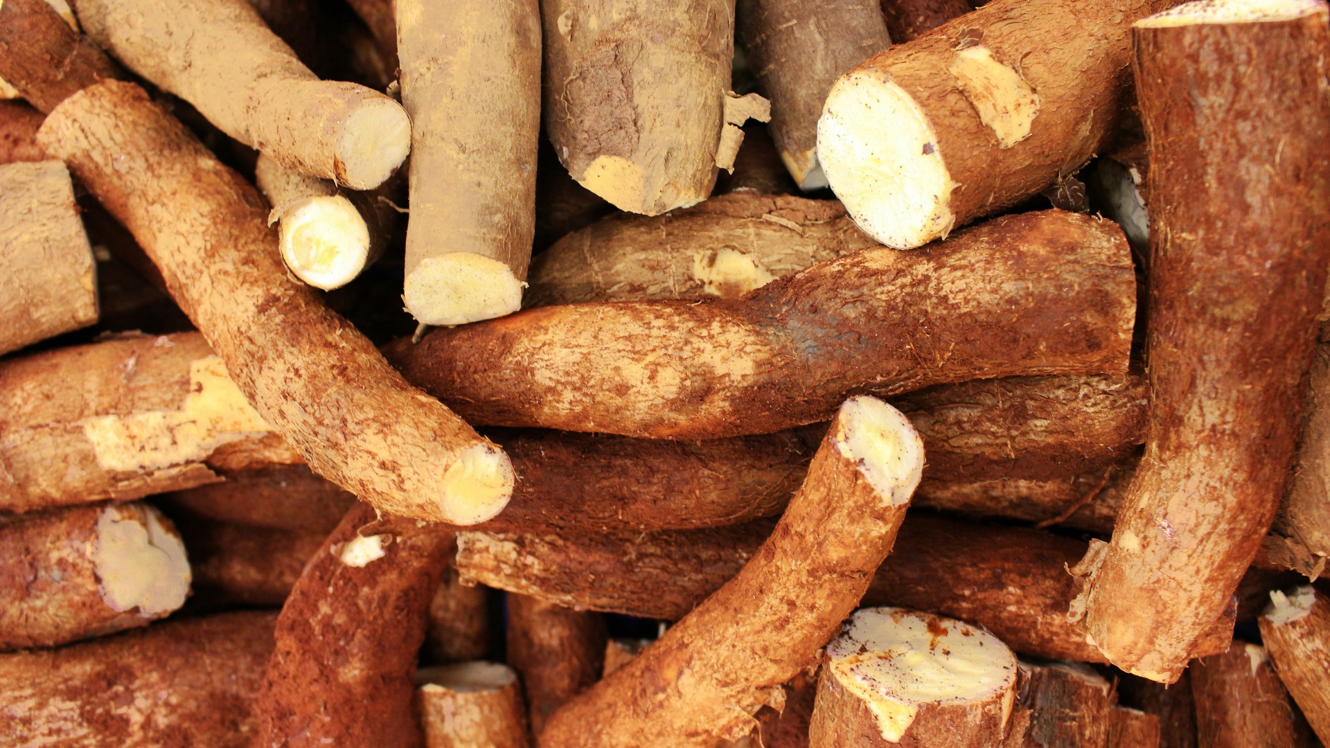 4. Le manioc