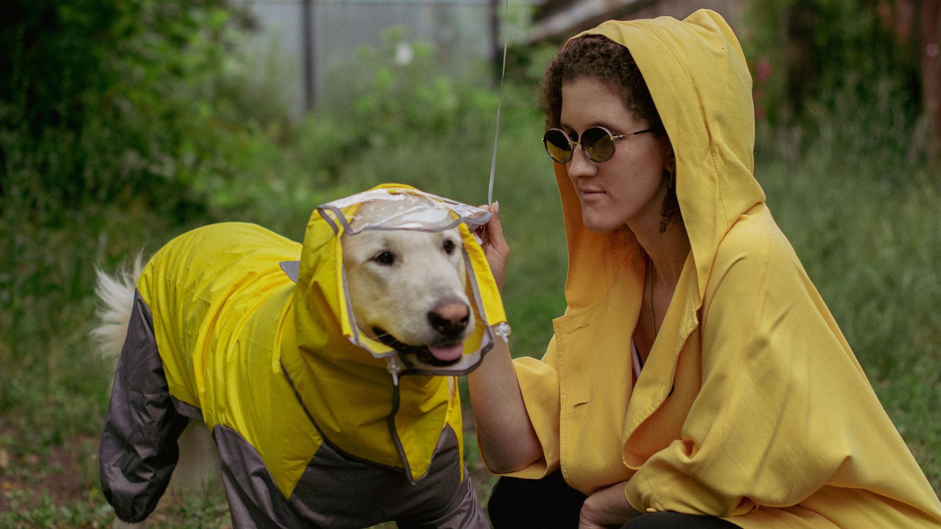6. Tenues assorties pour les maîtres et leurs animaux de compagnie