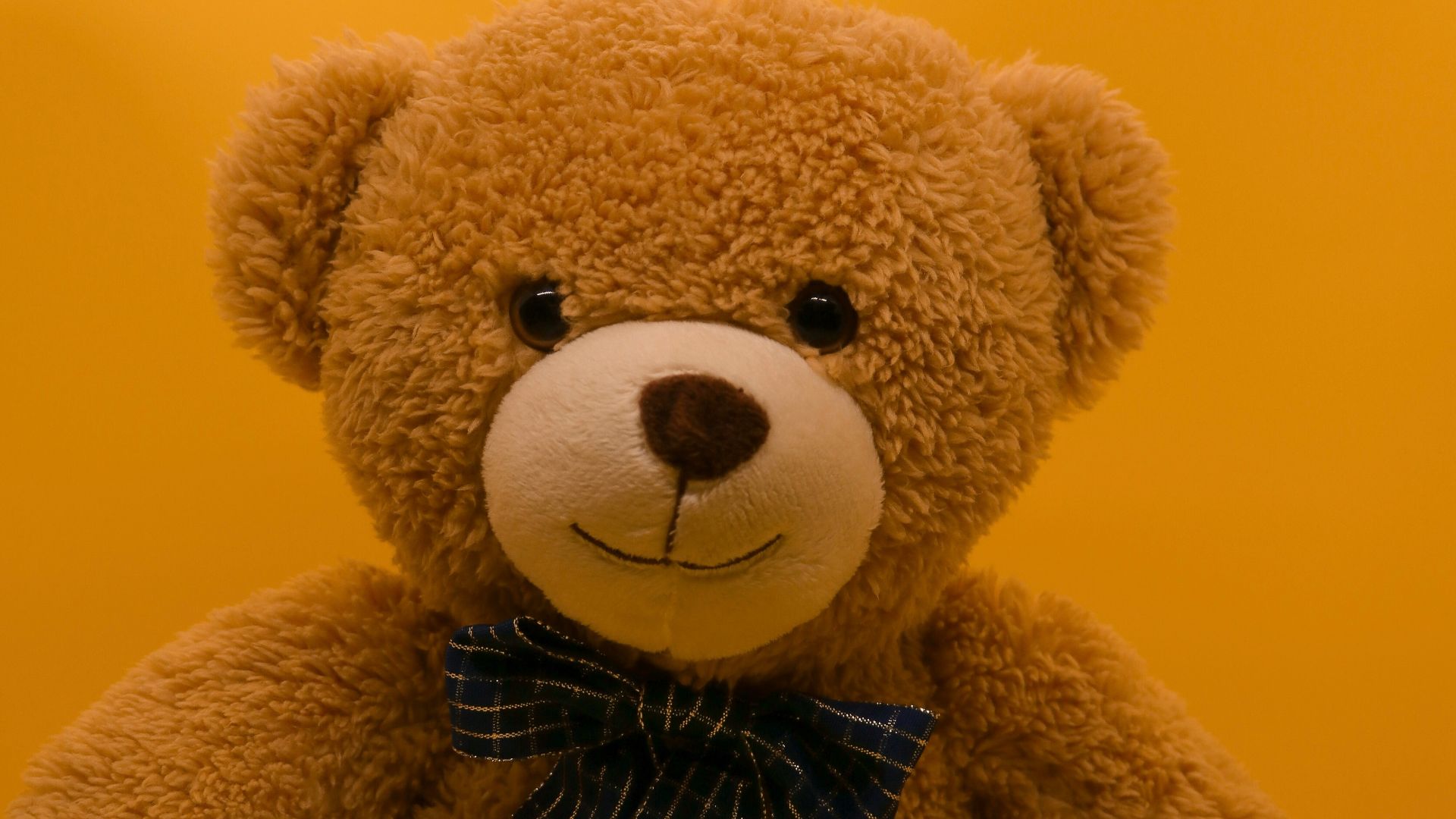 9. Les ours en peluche