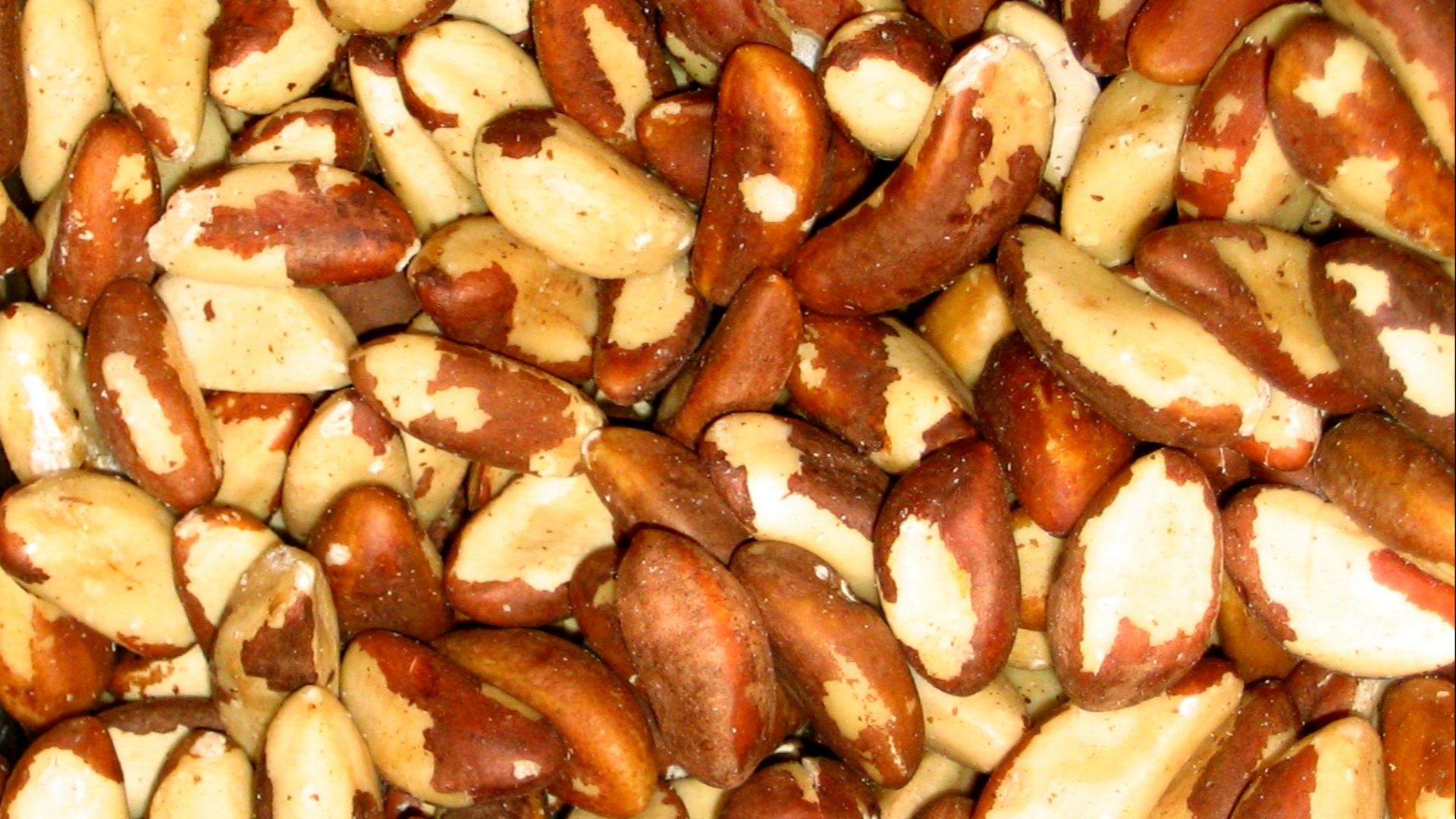 19. Noix du Brésil
