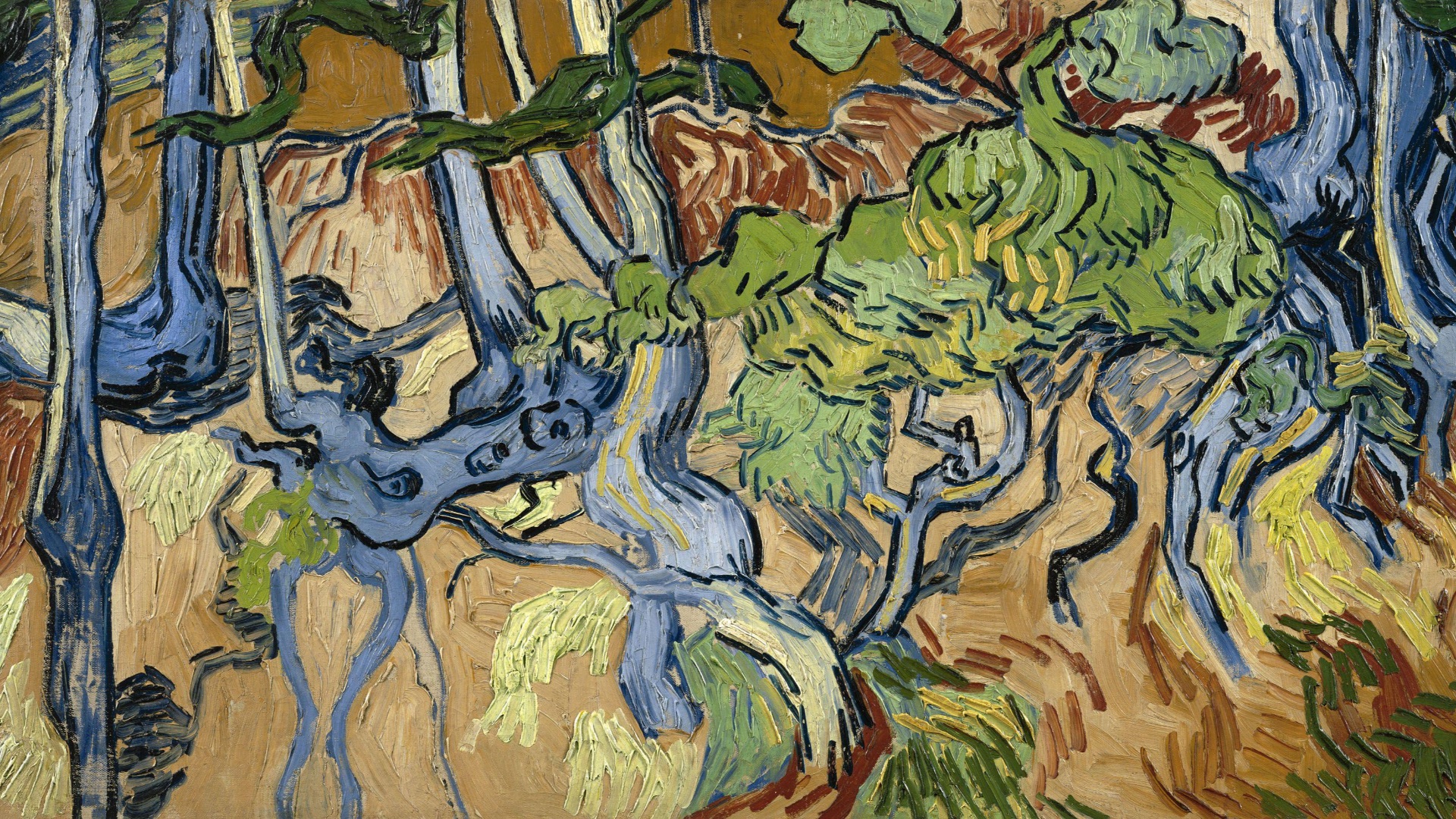 1. Racines d'arbres
