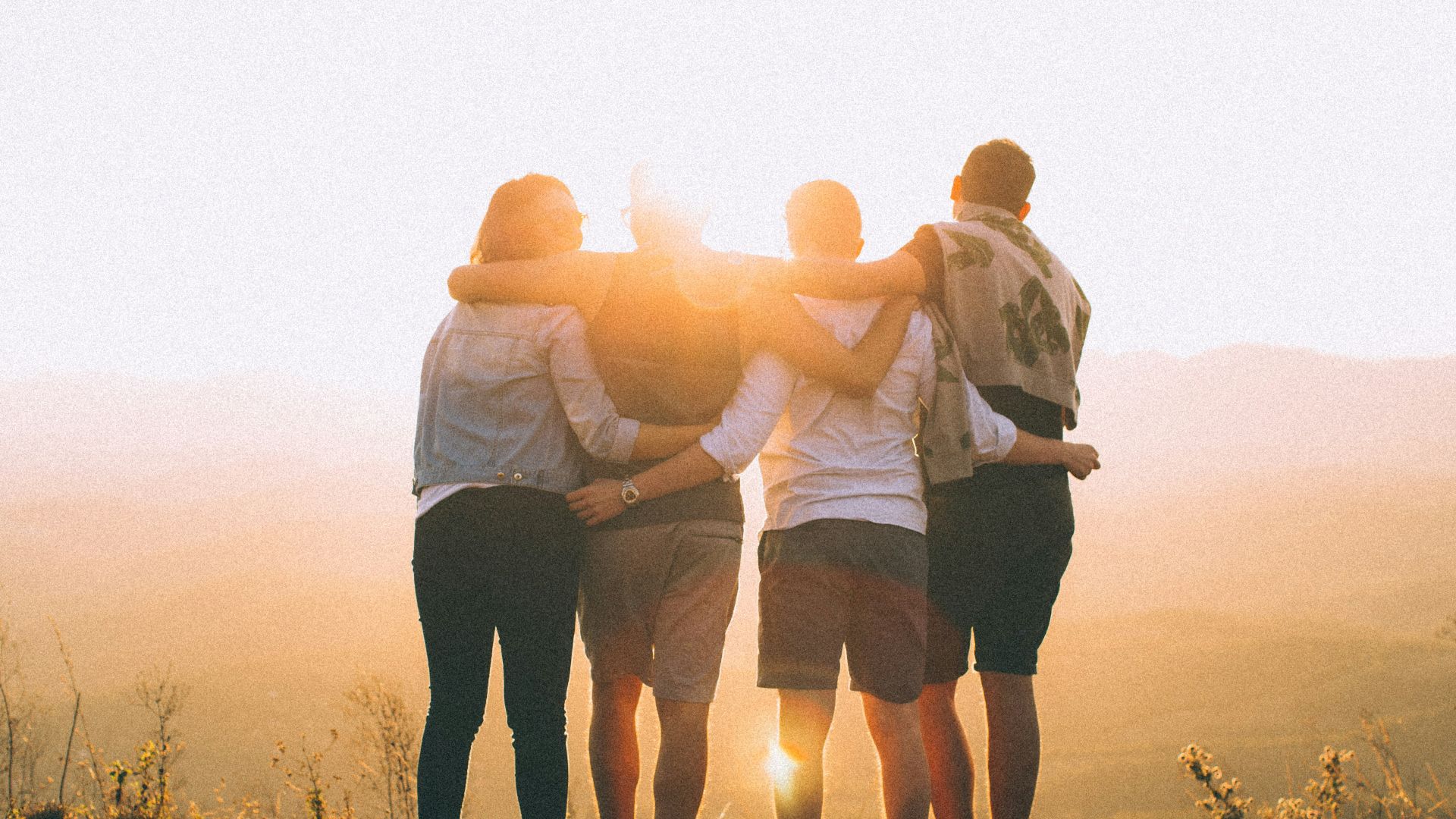 14. « Tu t'entendrais bien avec mes amis. »