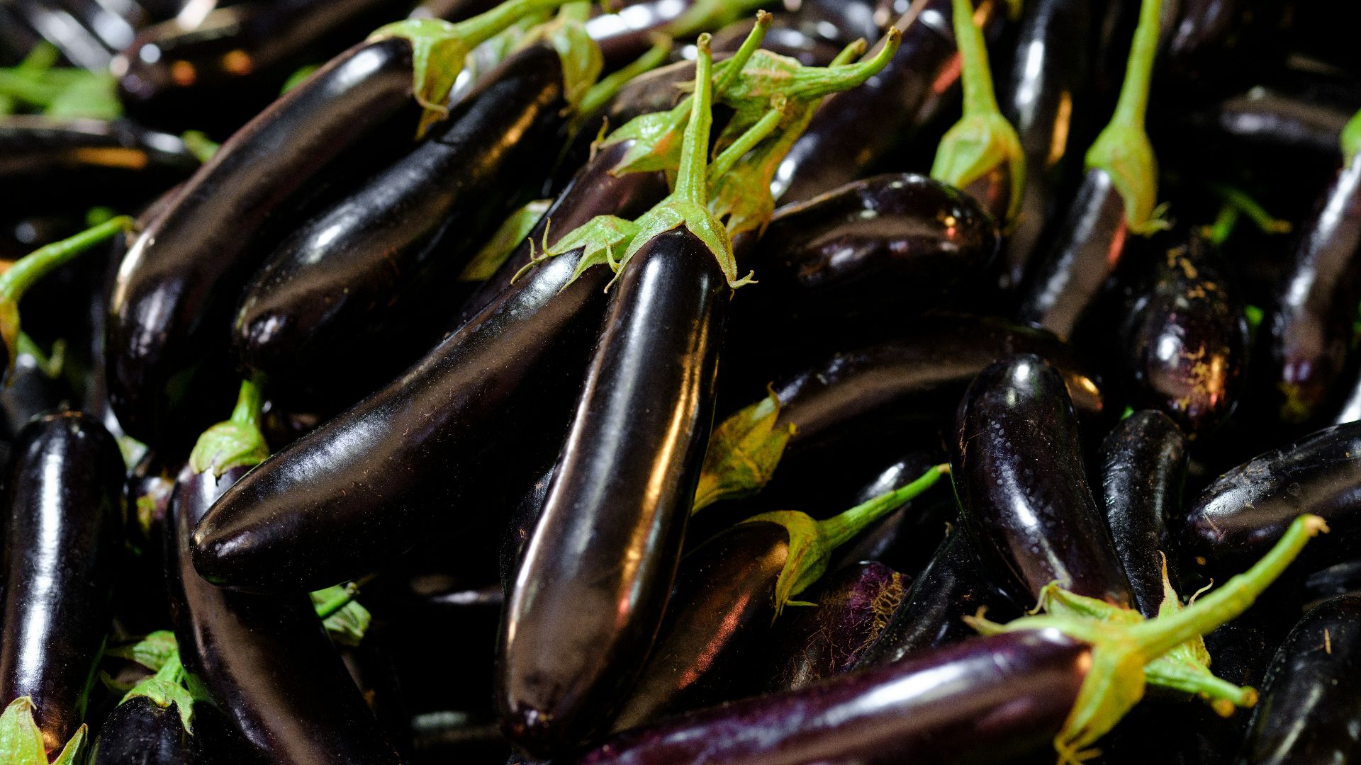 3. Les aubergines étaient autrefois appelées « pommes folles »