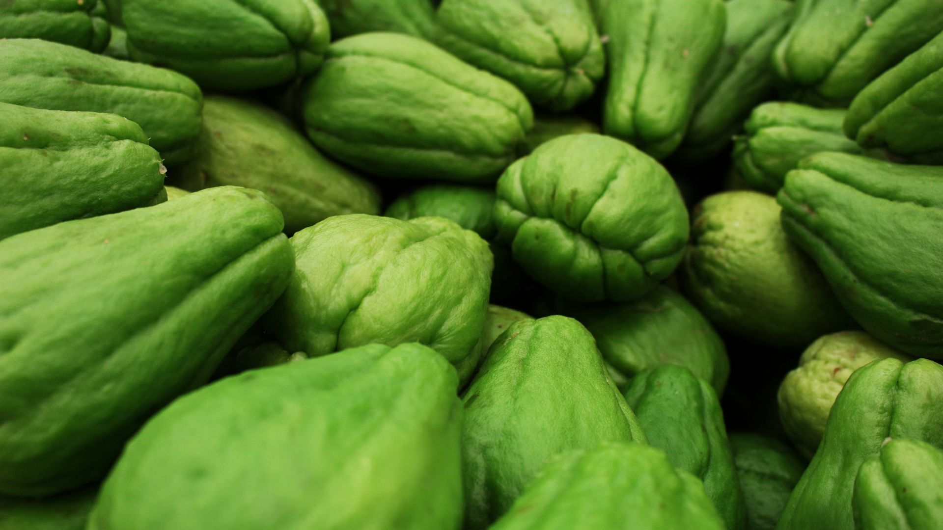 15. Chayote
