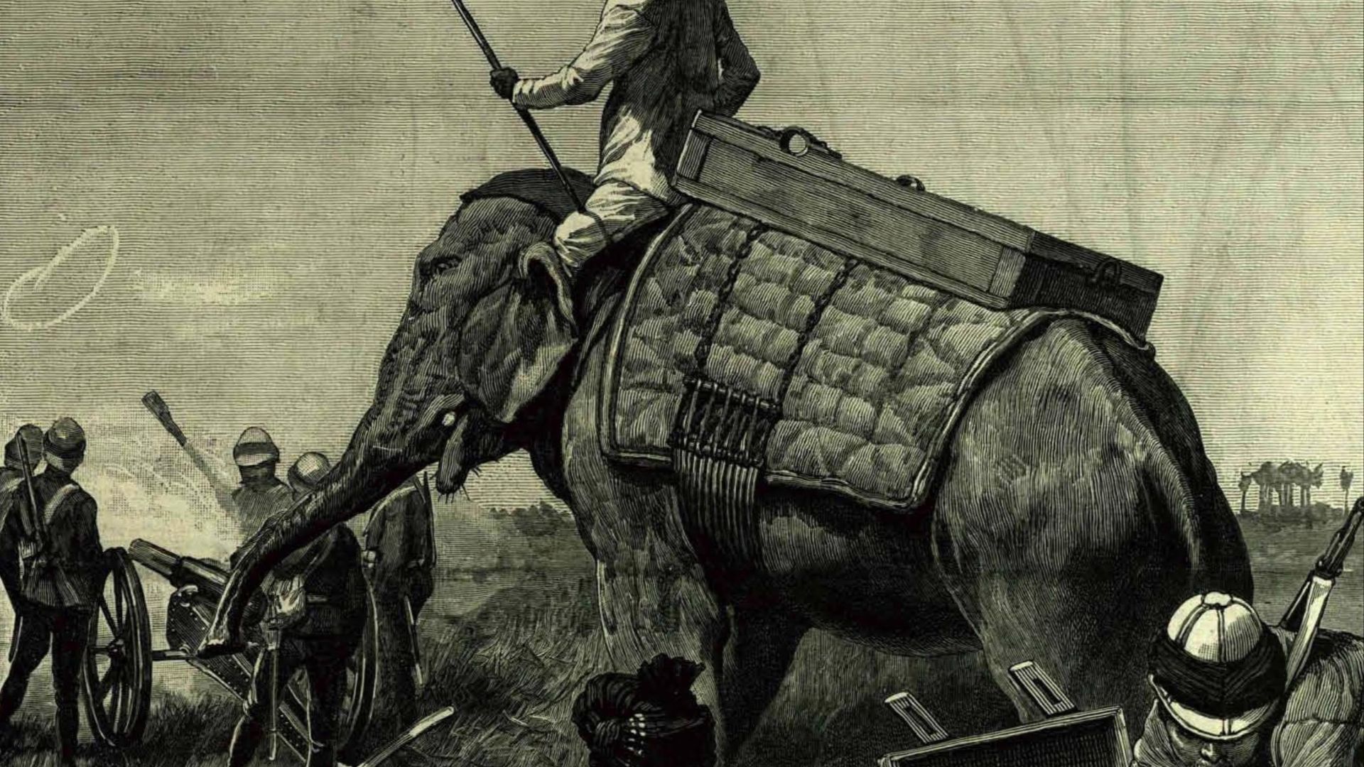 19. L'éléphant de guerre blindé de l'Inde