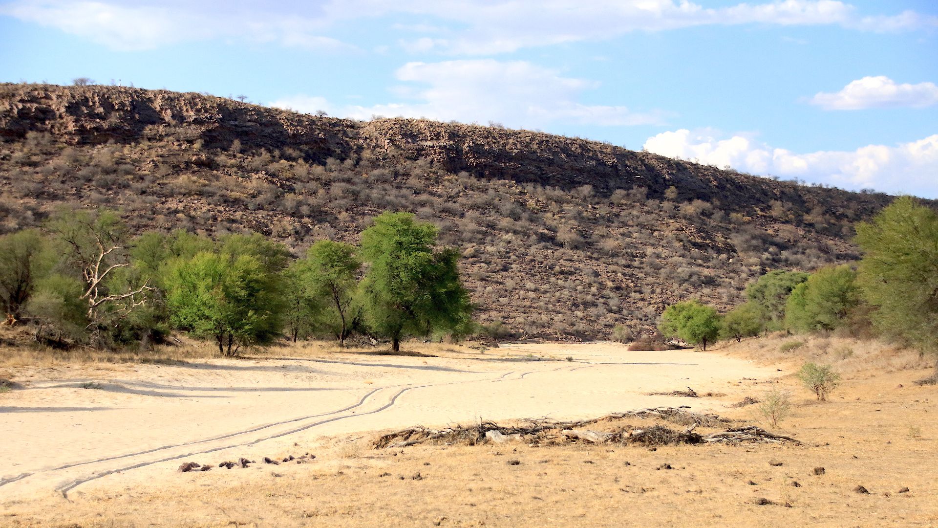 15. Le circuit écologique en 4x4 de Nossob, Afrique du Sud