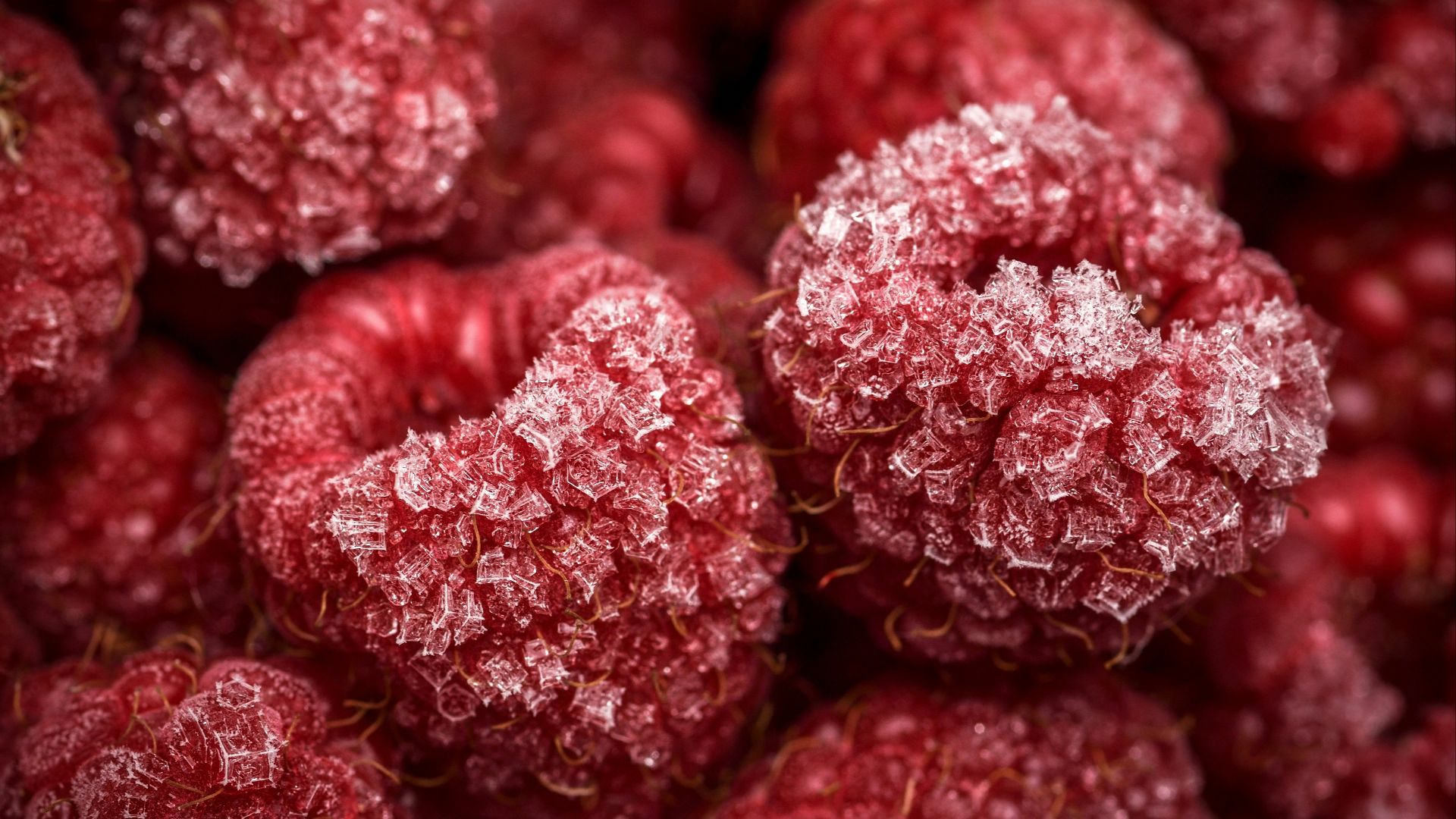 8. Fruits surgelés