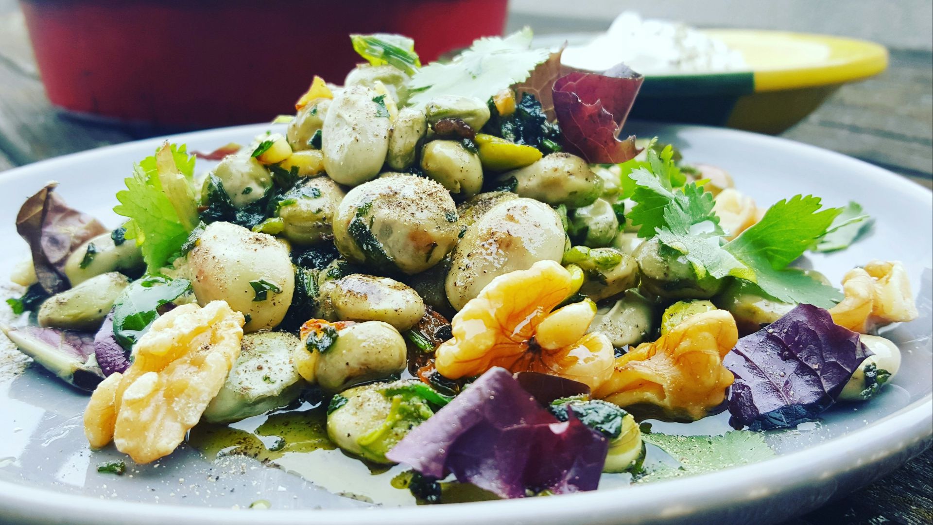 16. Légumes verts mijotés aux haricots blancs