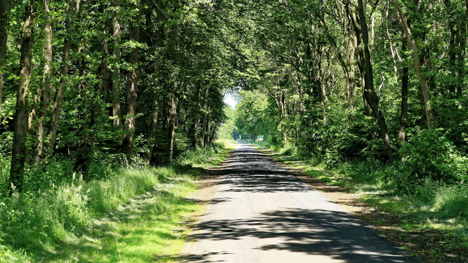 14. N705 Spiekweg, Flevoland, Pays-Bas