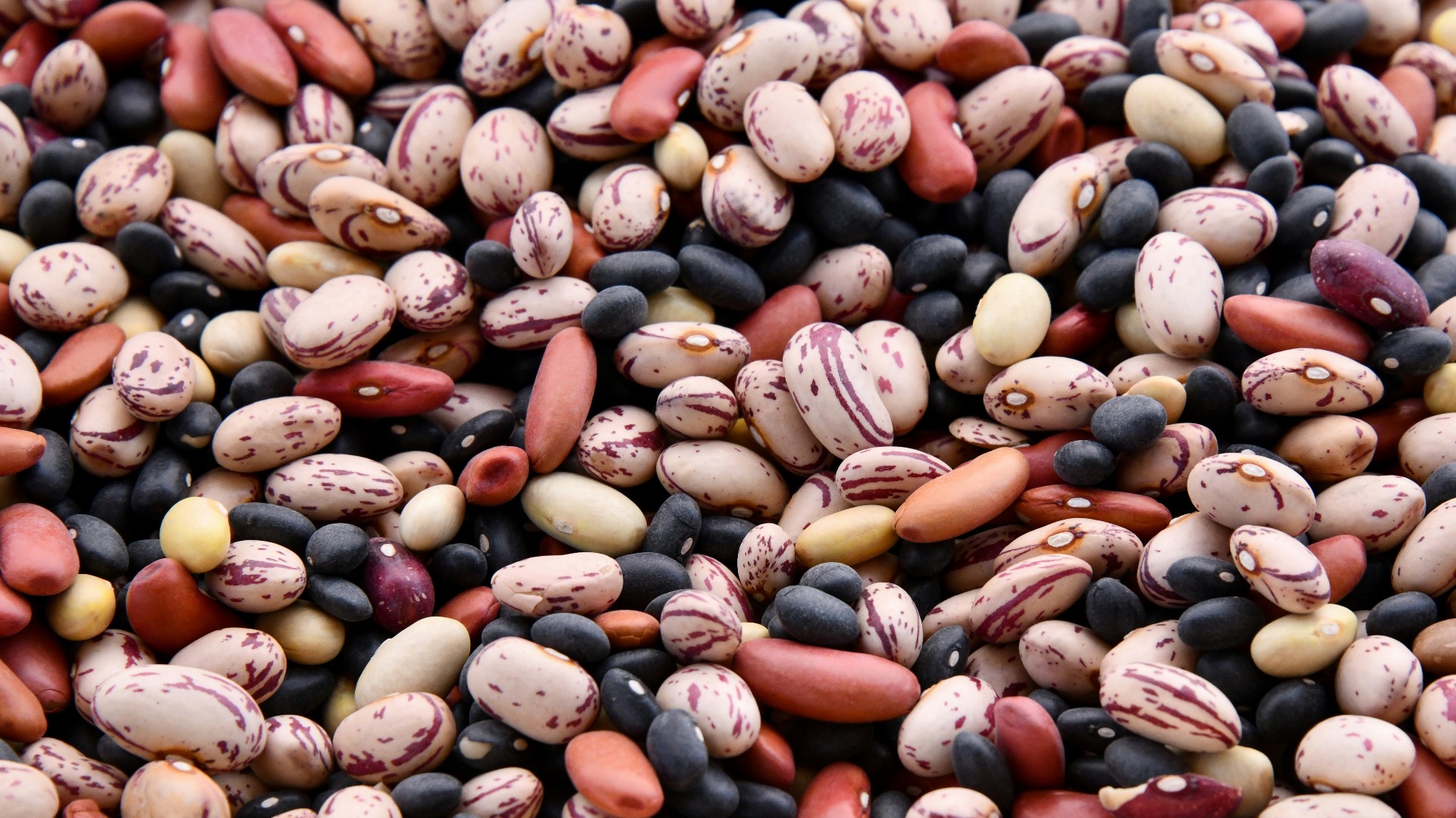 3. Haricots