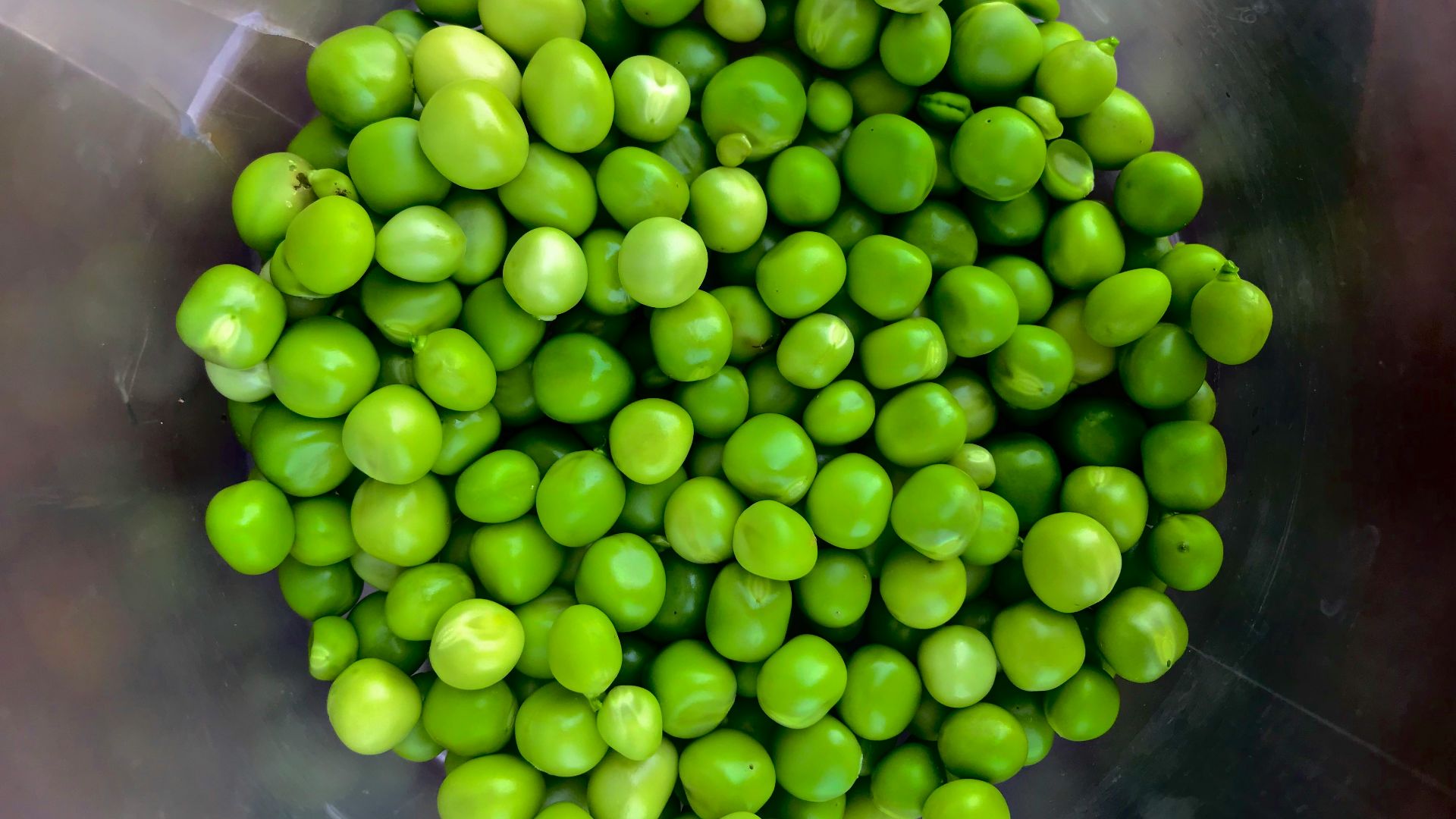 14. Petits pois