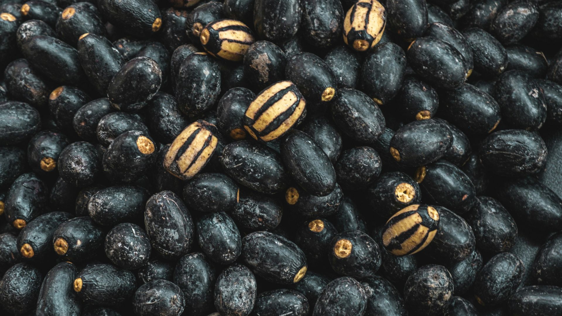 9. Haricots noirs