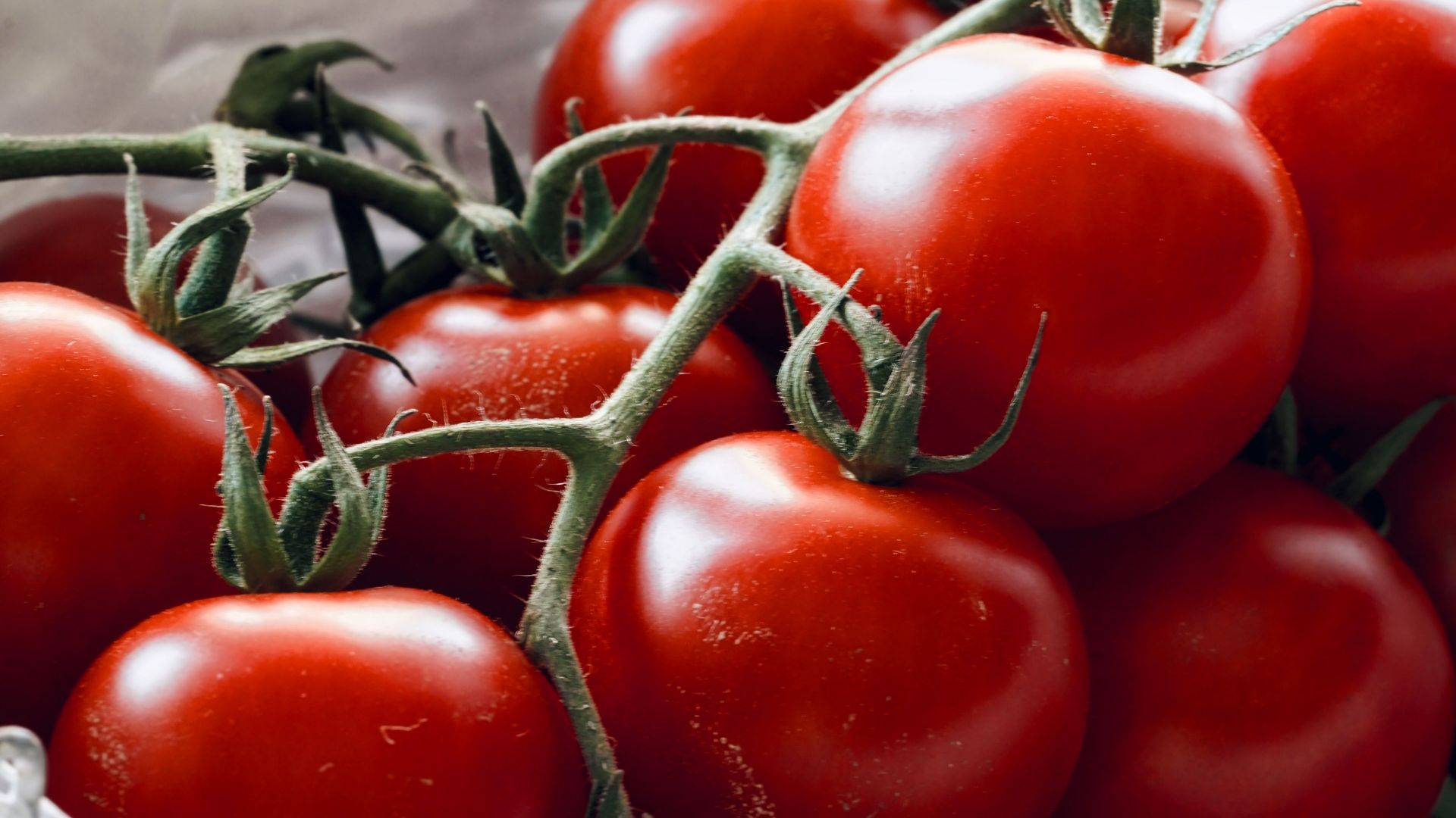 Tomates
