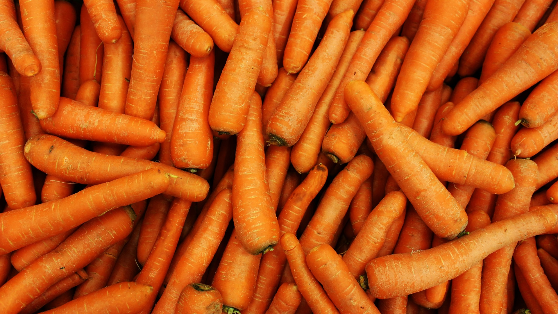 5. Carottes