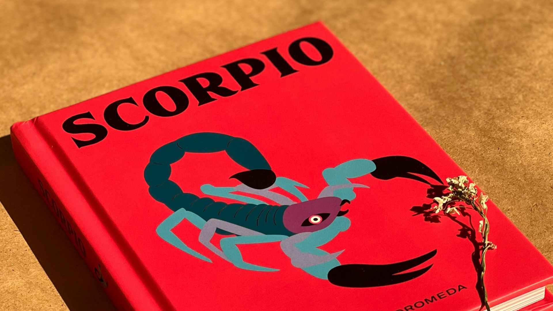 Le Scorpion en amour : 20 qualités que les femmes Scorpion recherchent chez les hommes