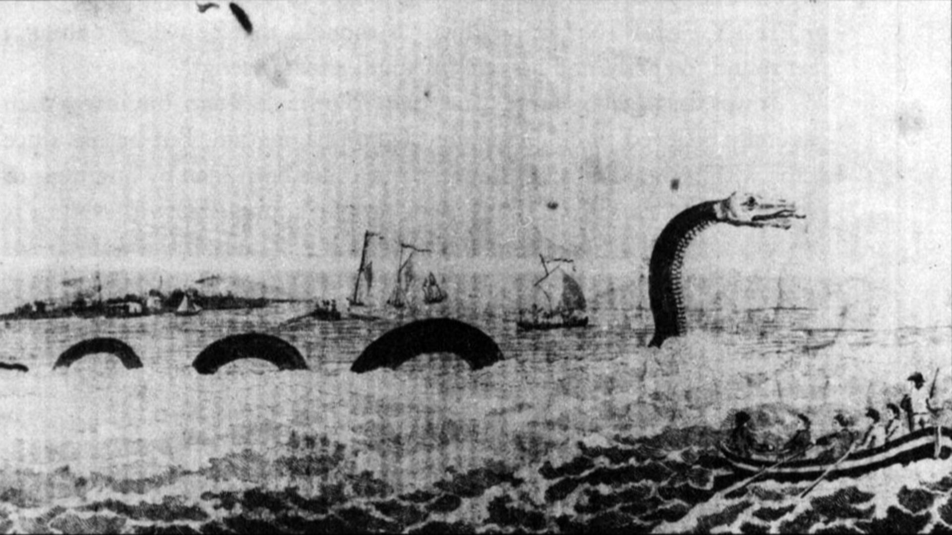 5. Le serpent de mer