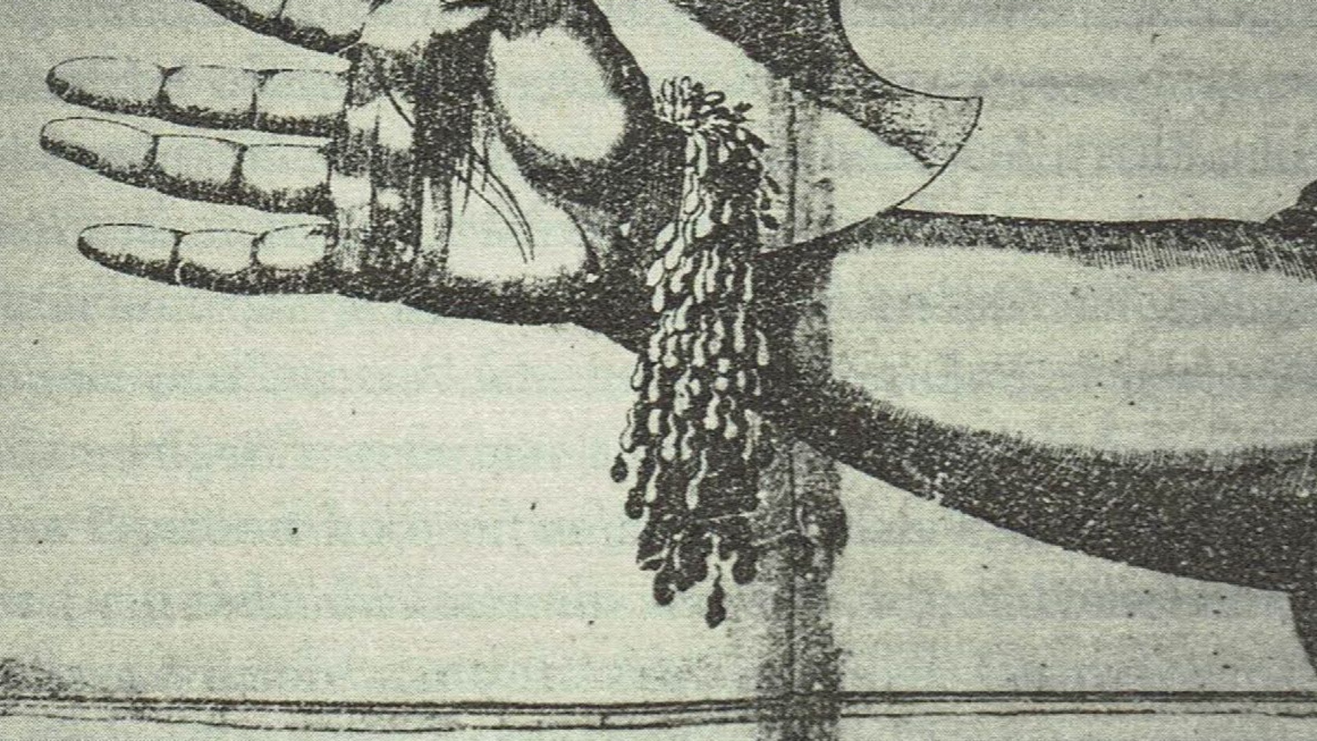 12. La mutilation en tant que peine légale