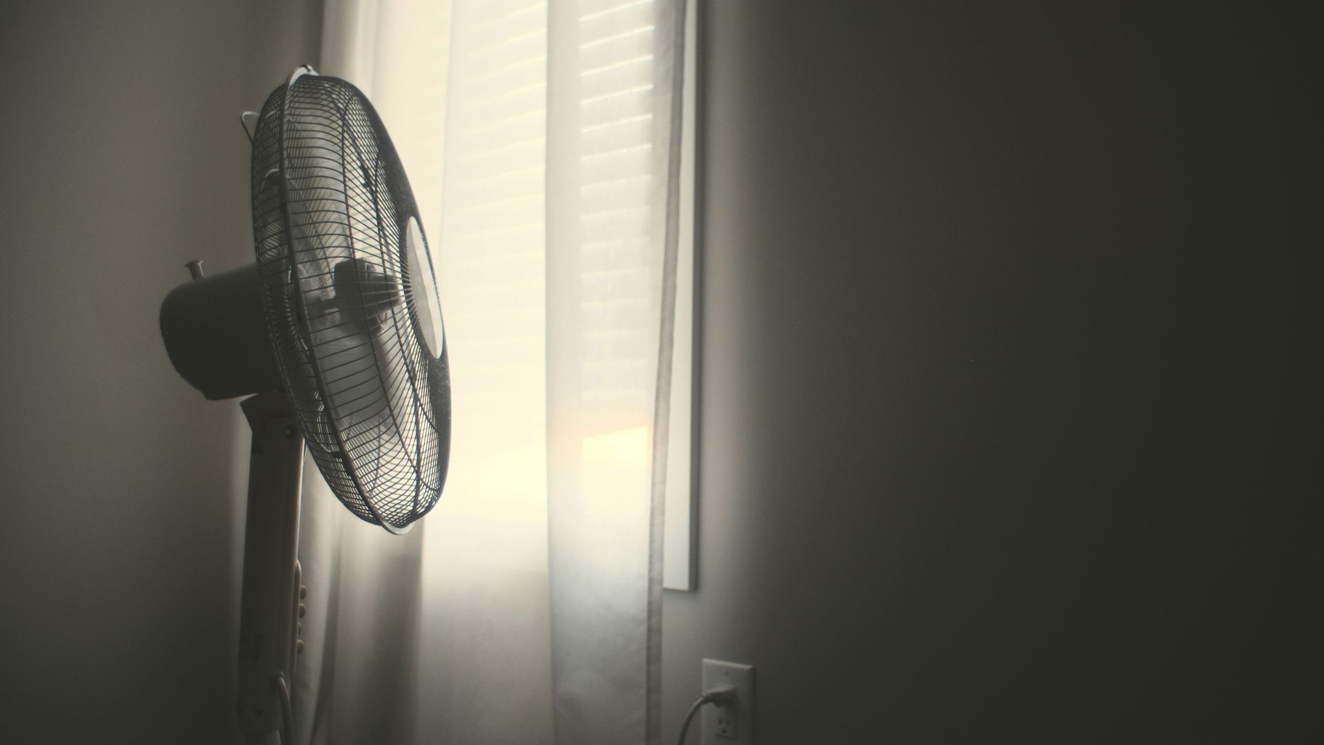 7. Ils préservent la fraîcheur de l'air