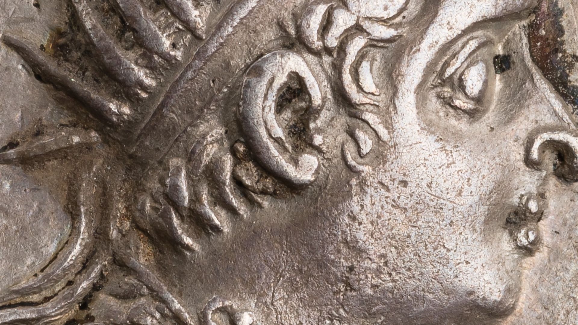 2. Ptolémée VIII « Physcon », « le Ventru »