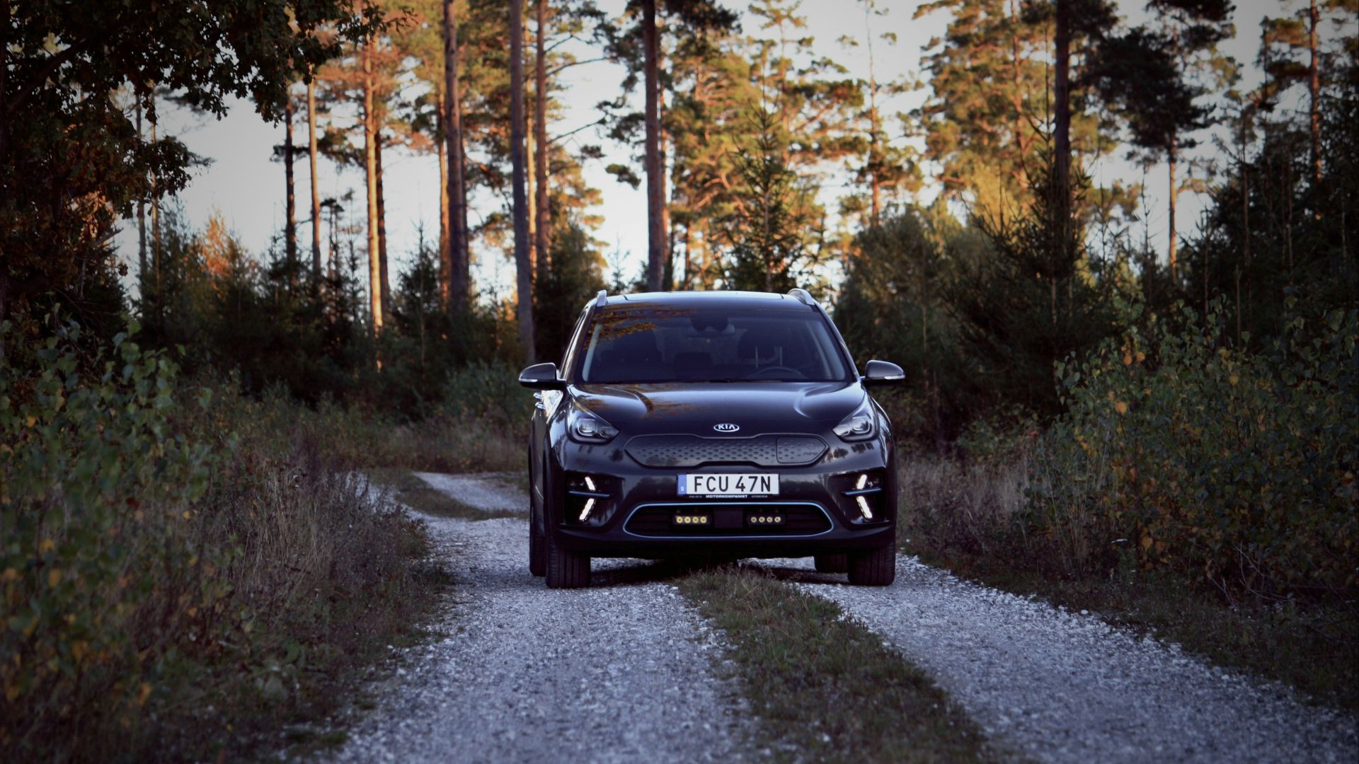 17. Kia Niro