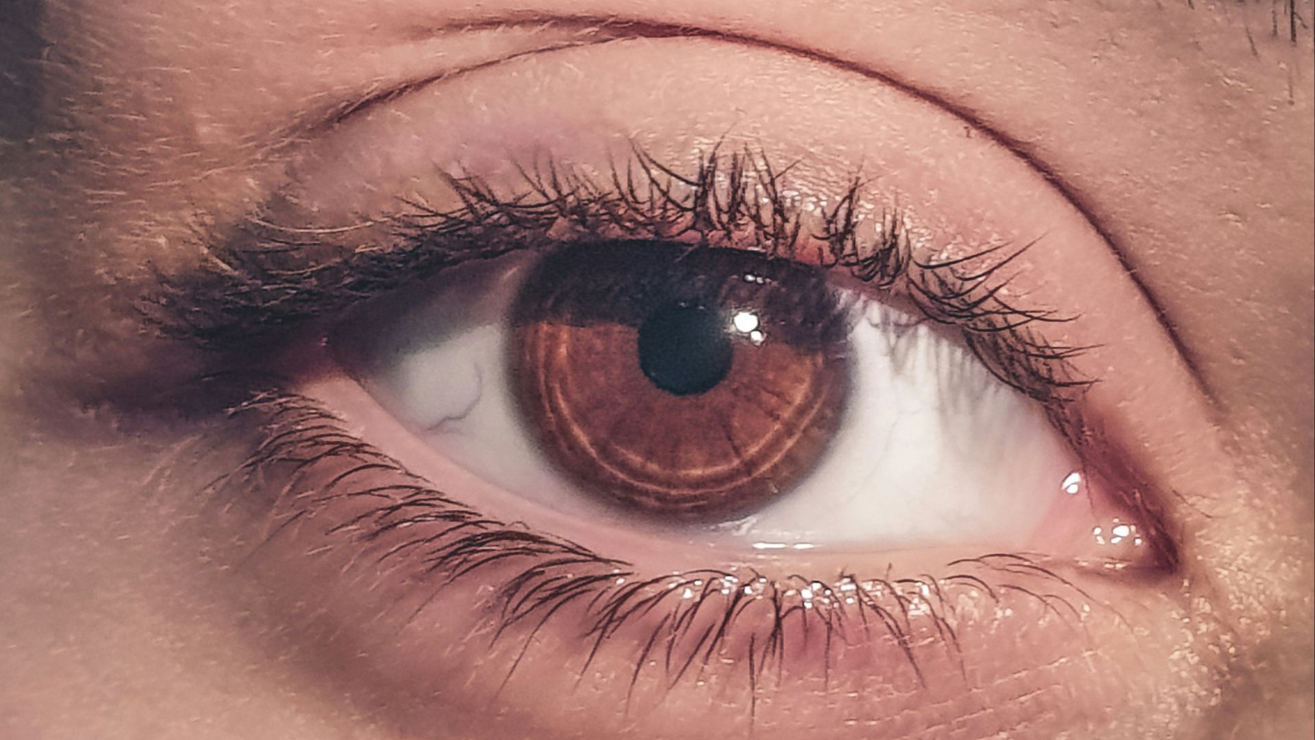 11. Un contact visuel trop insistant