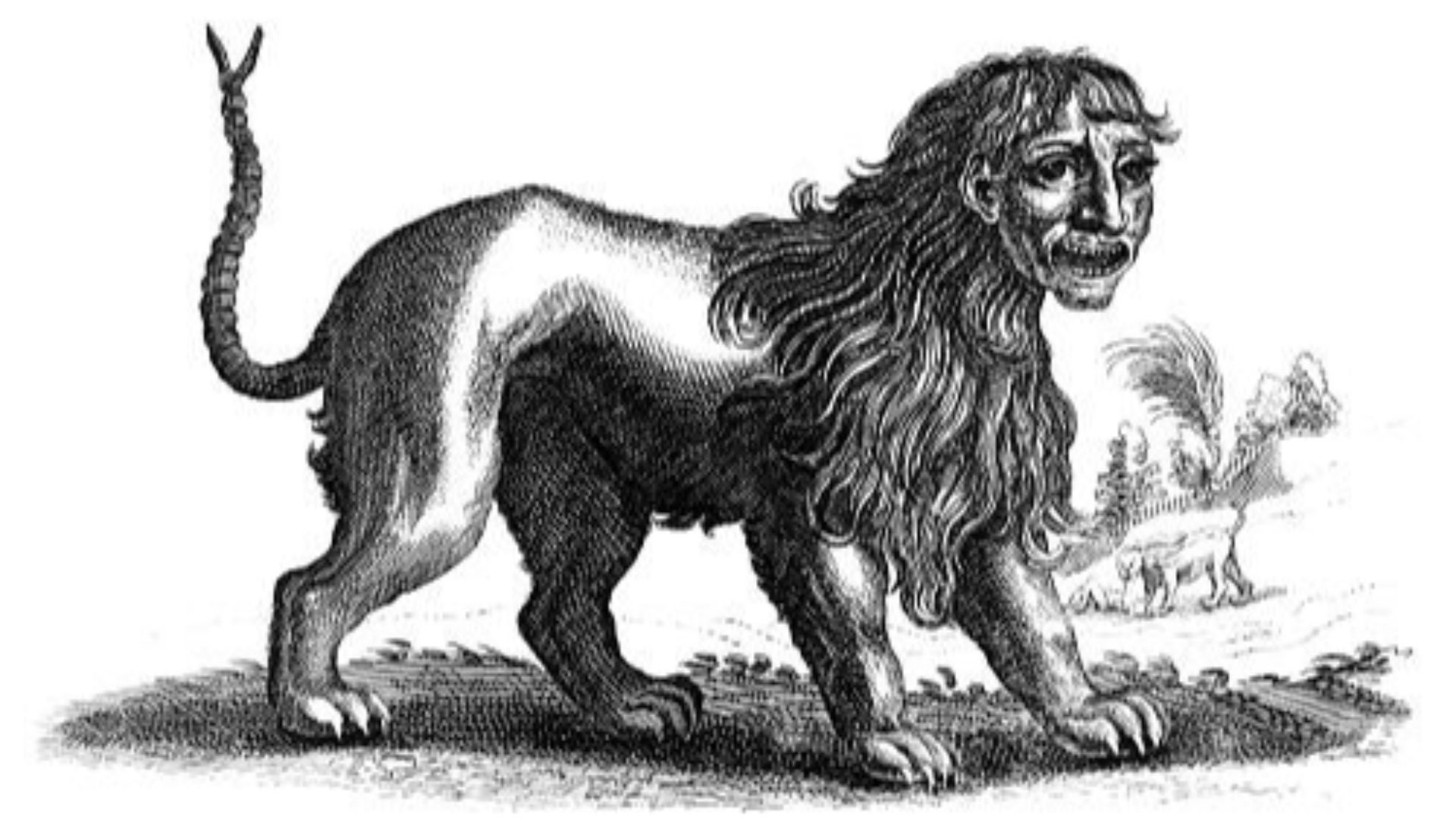 9. La manticore