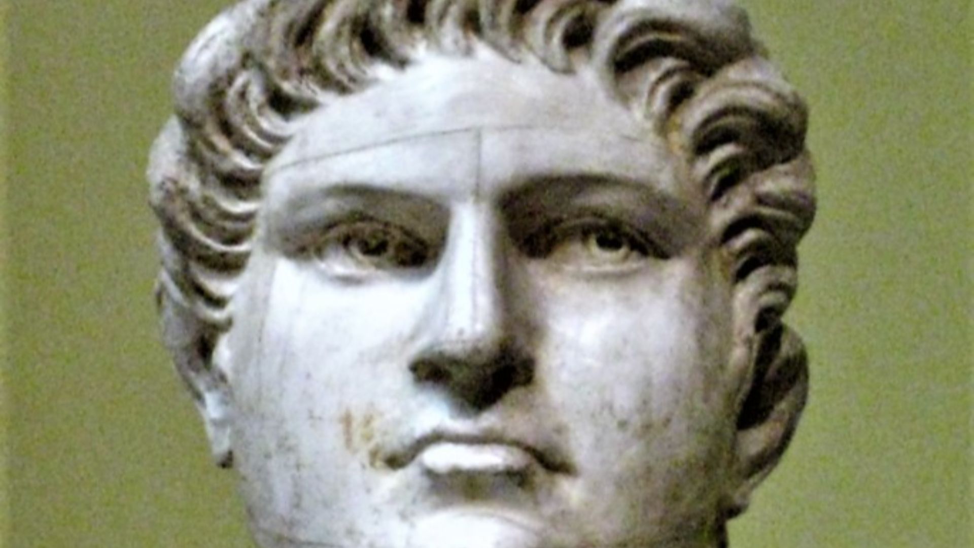 5. Néron