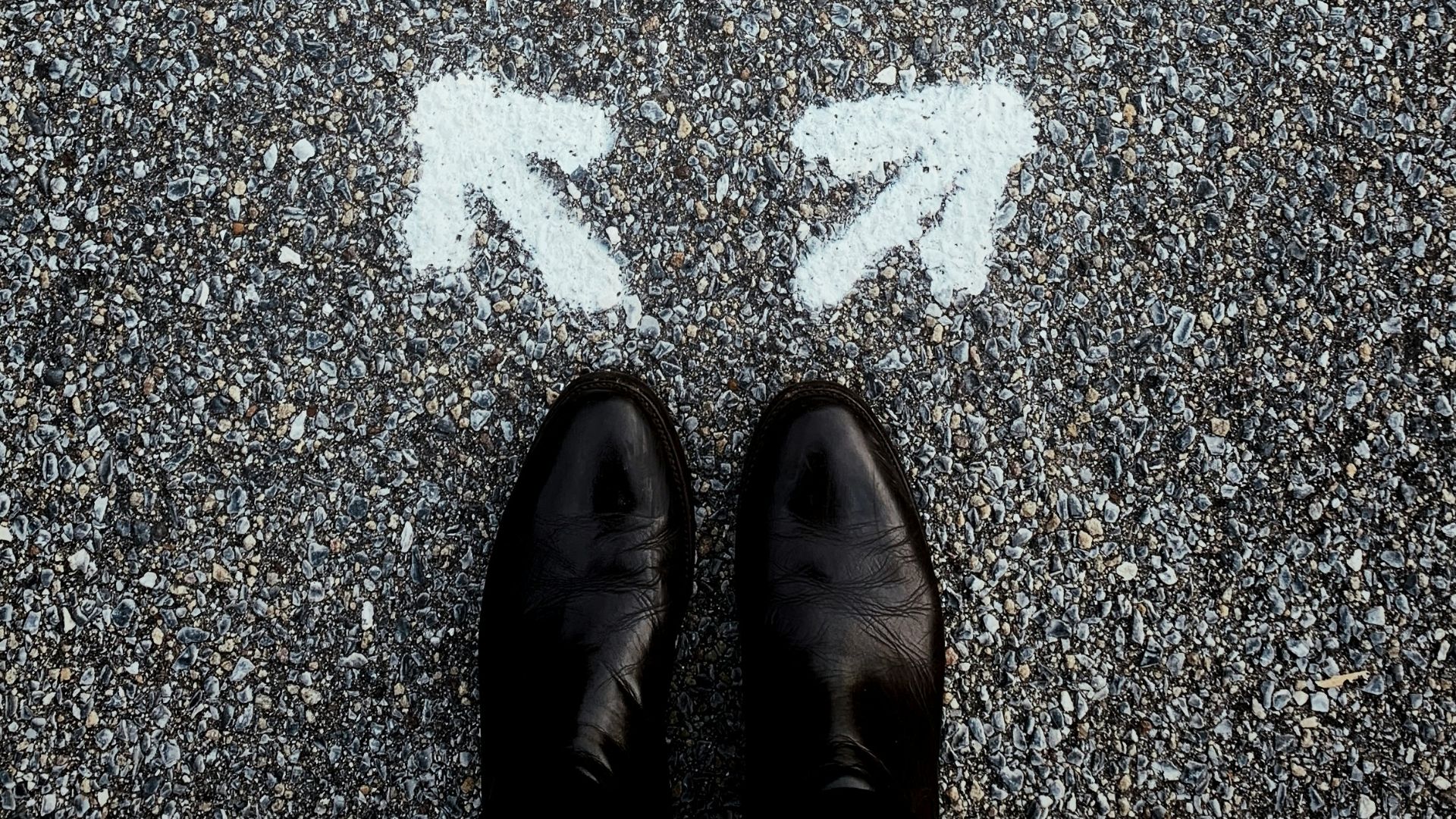 19. Valoriser la diversité des points de vue
