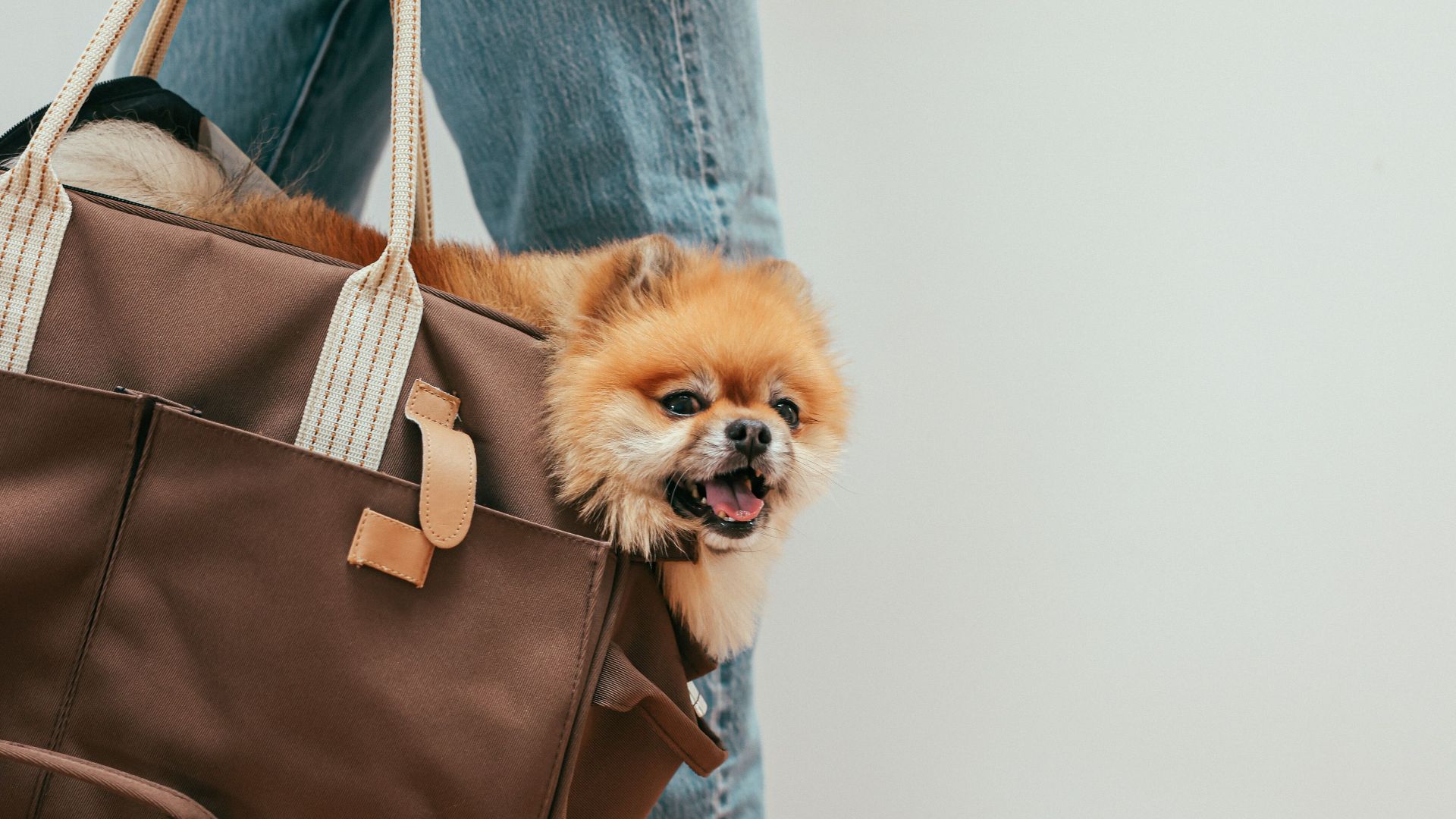 17. Sacs personnalisés avec monogramme