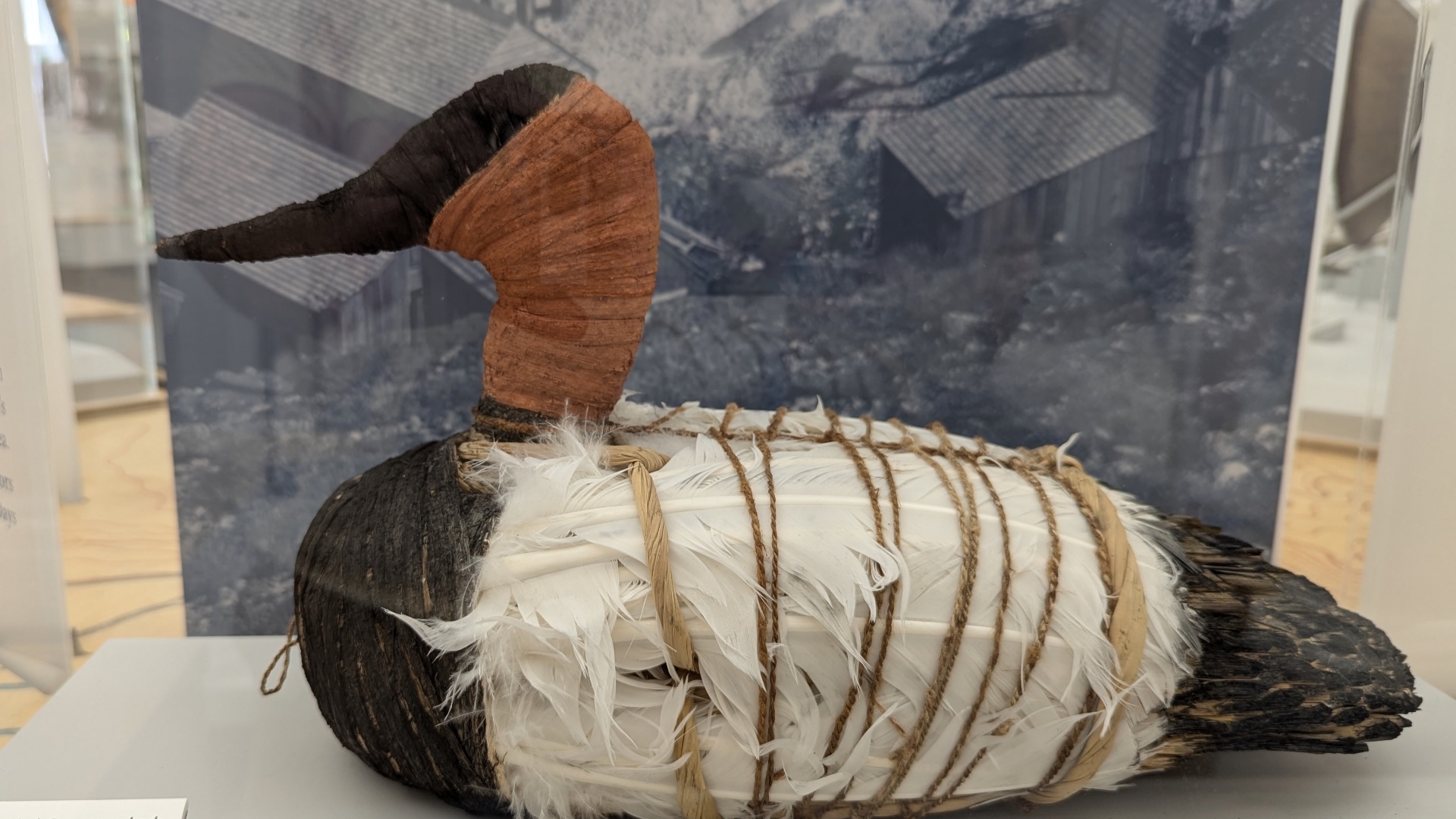 18. Les leurres de canards de la grotte de Lovelock