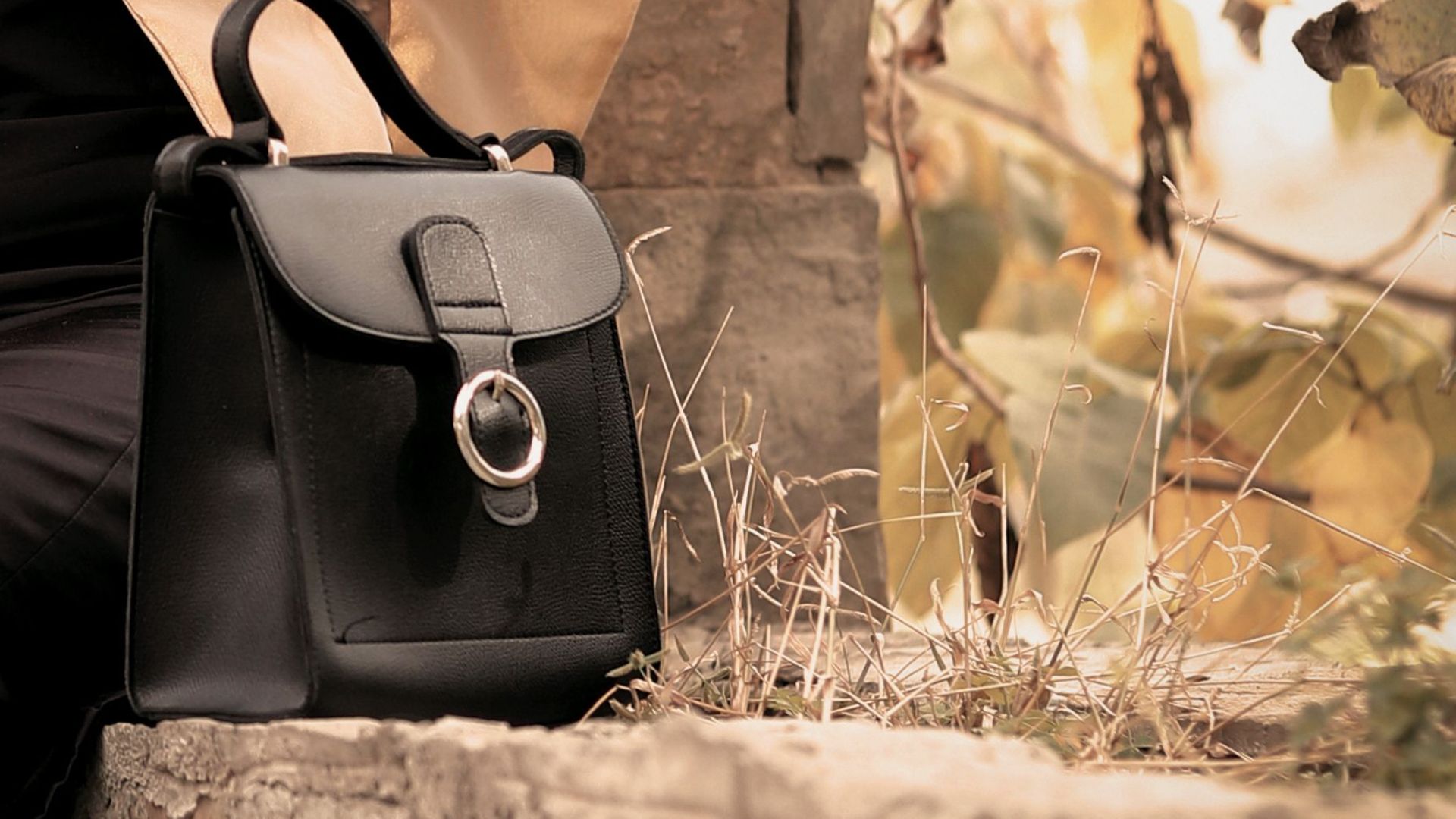 20. Delvaux Brillant