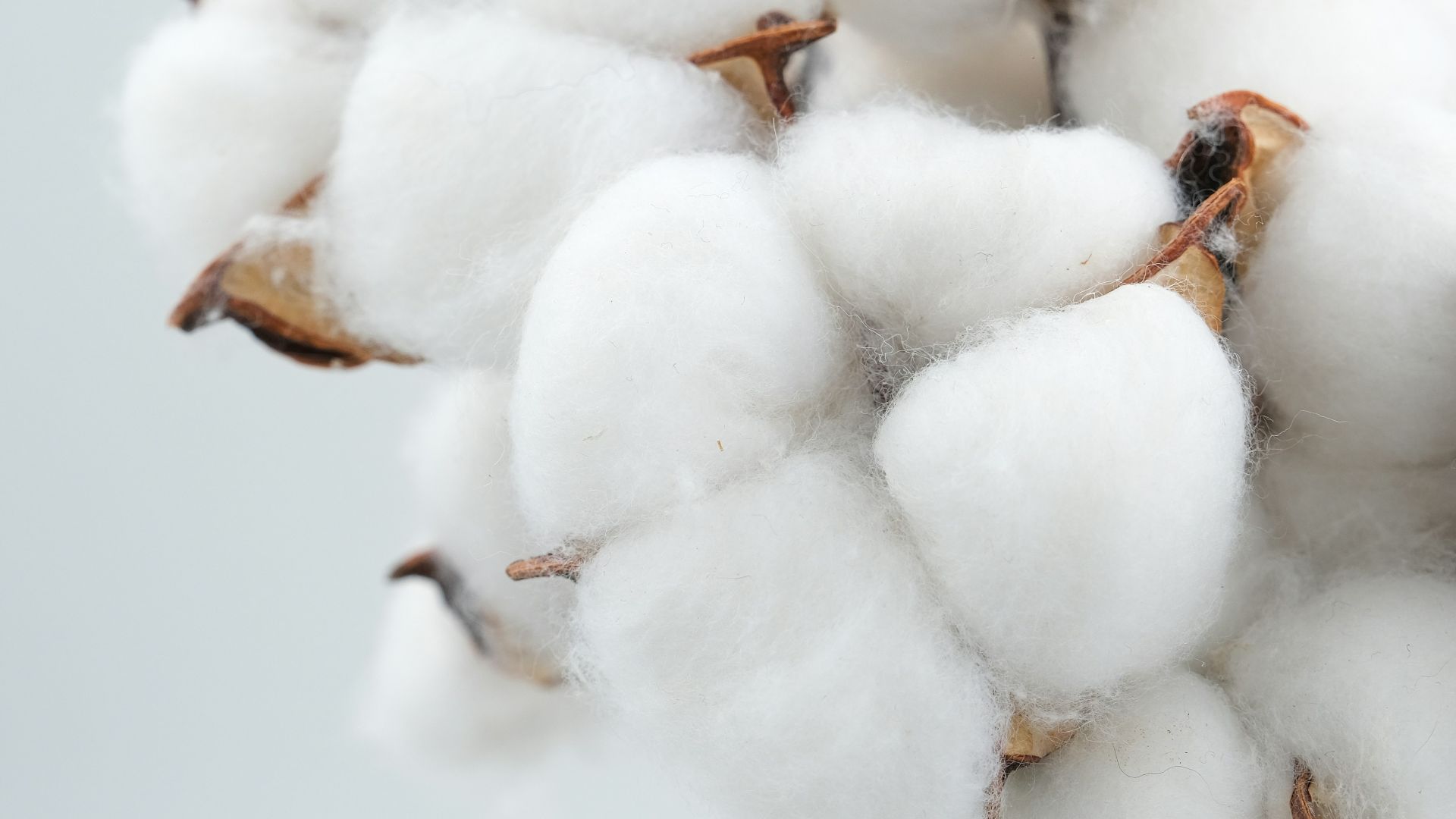 13. La texture du coton à micro-côtes