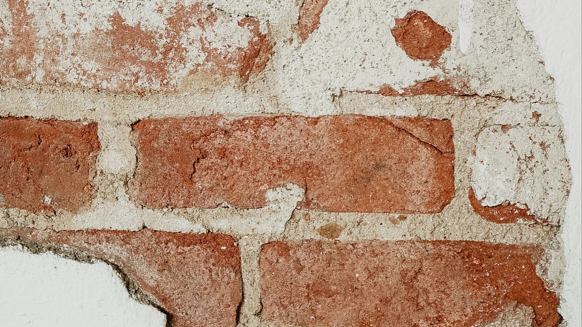 8. Brique