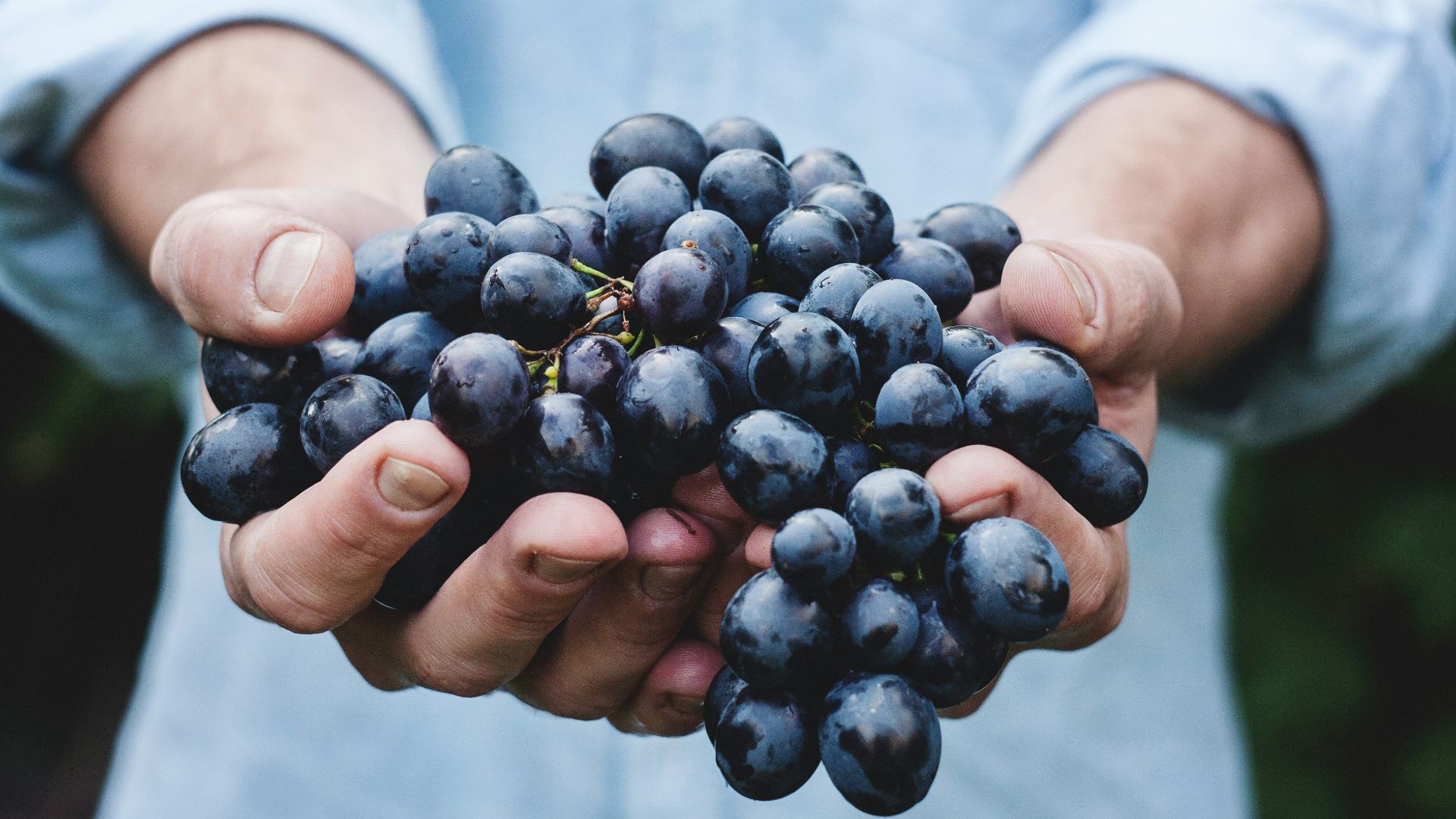 2. Spray corporel au parfum de raisin artificiel