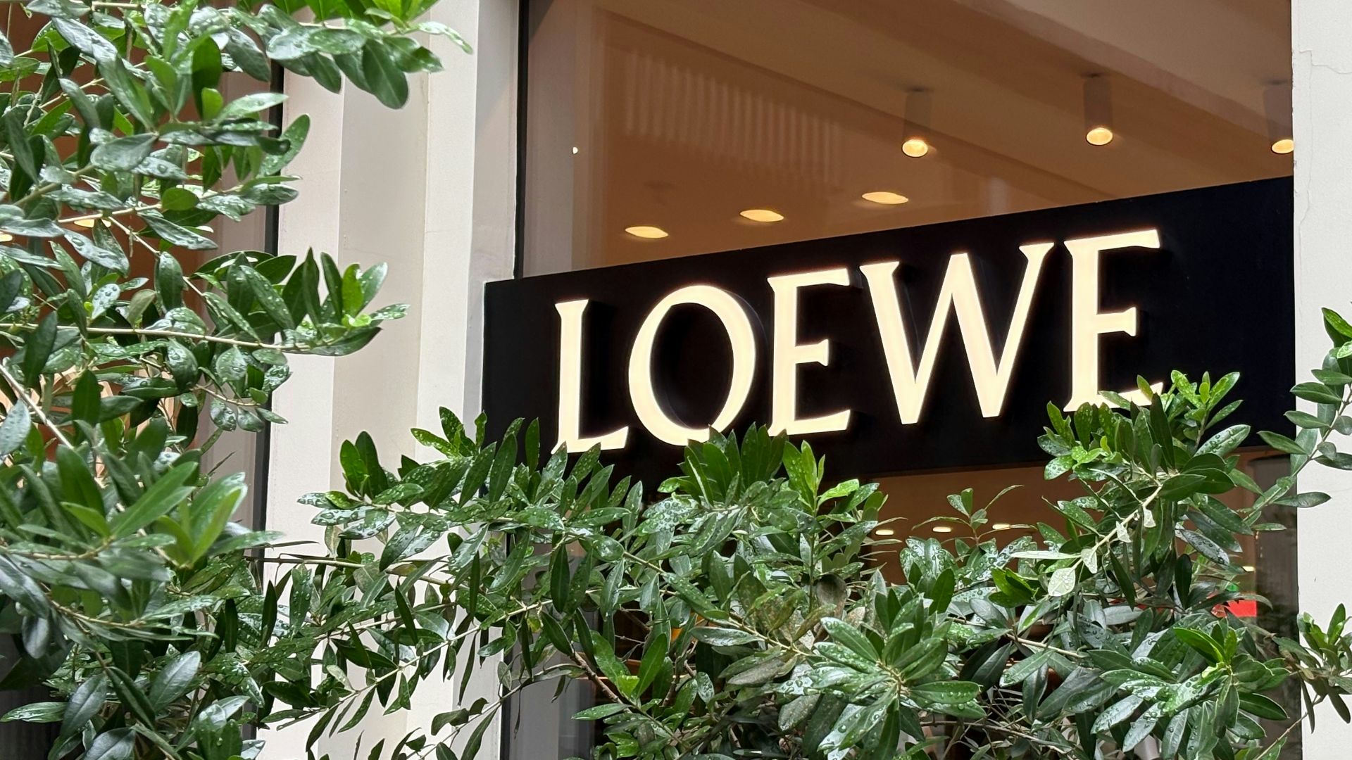 14. Loewe Puzzle