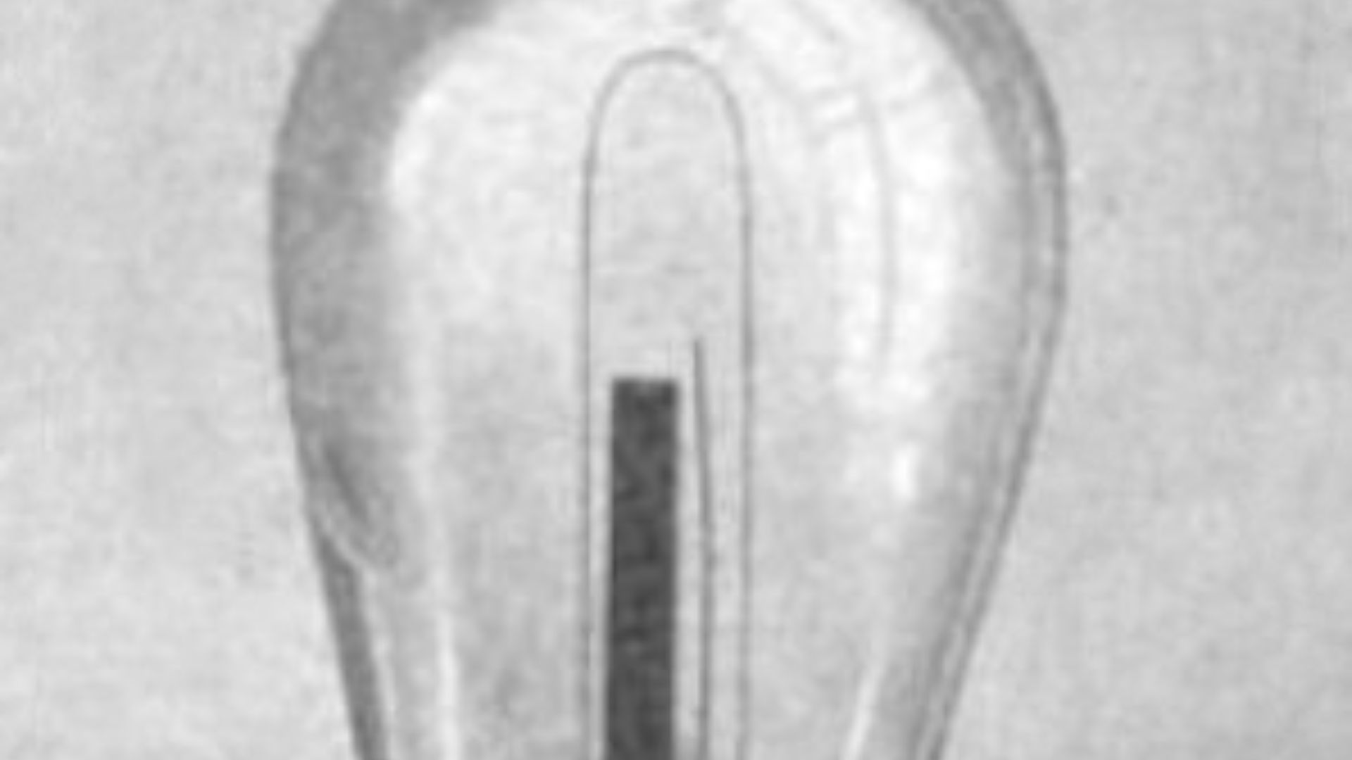 10. La première ampoule électrique fonctionnelle
