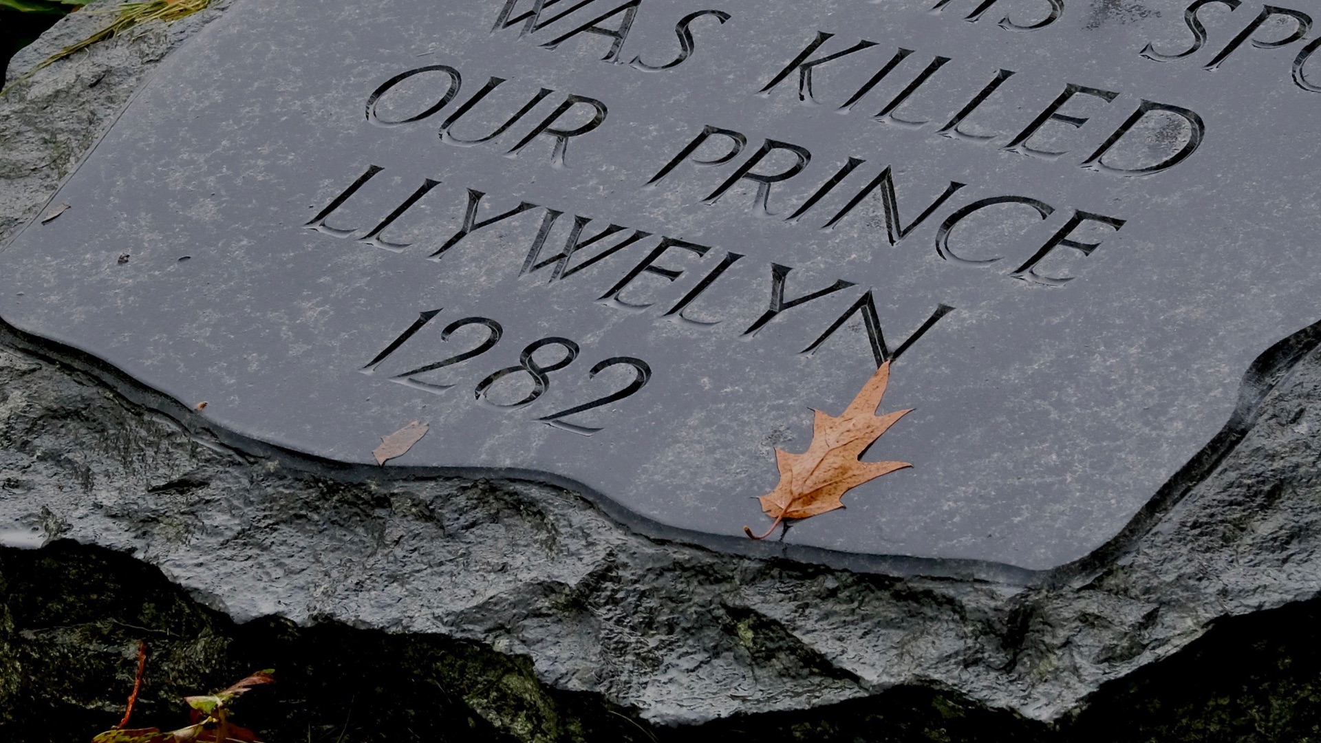 9. Llywelyn