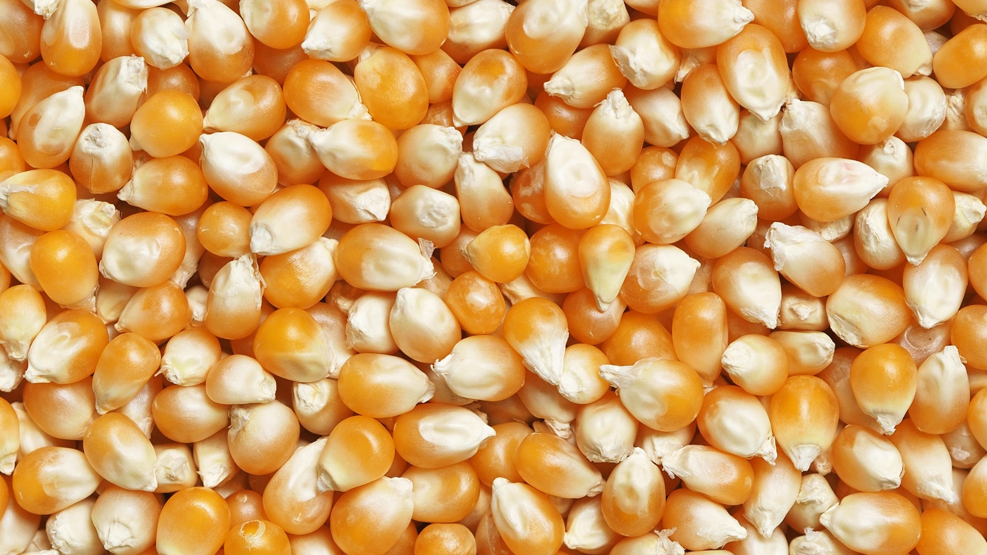 2. Pop-corn