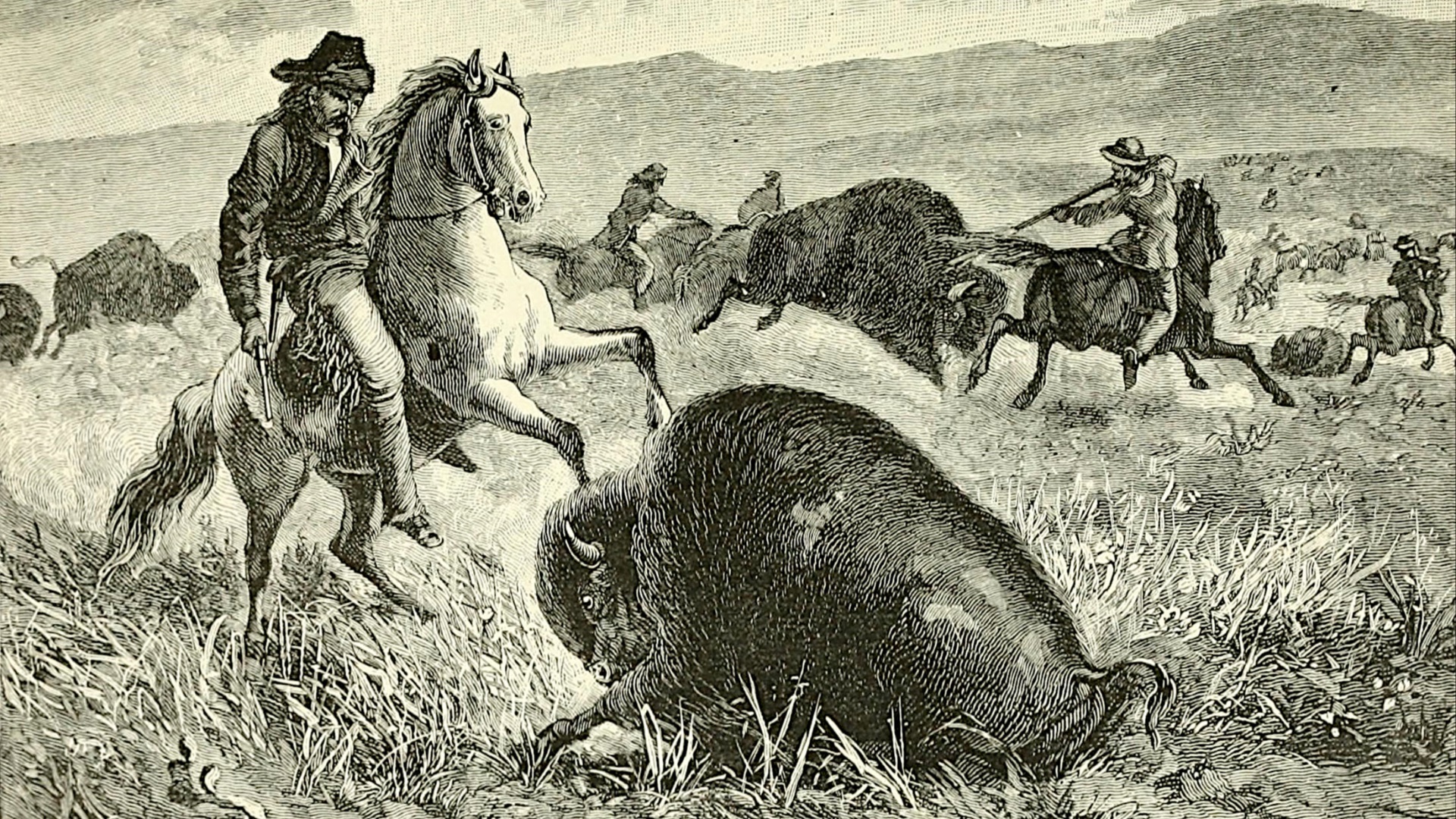 11. La chasse sur des terrains privés