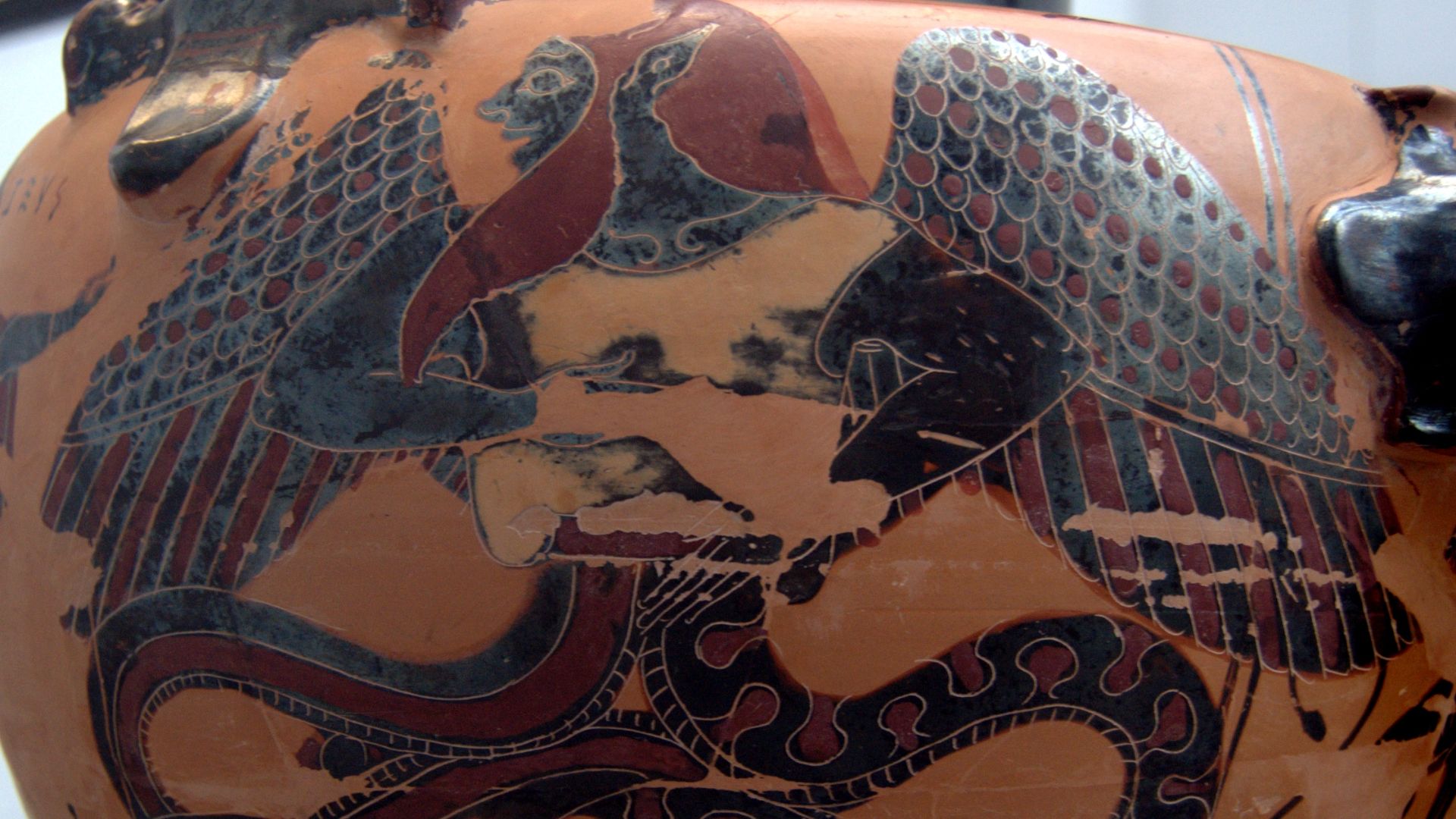 7. Typhon