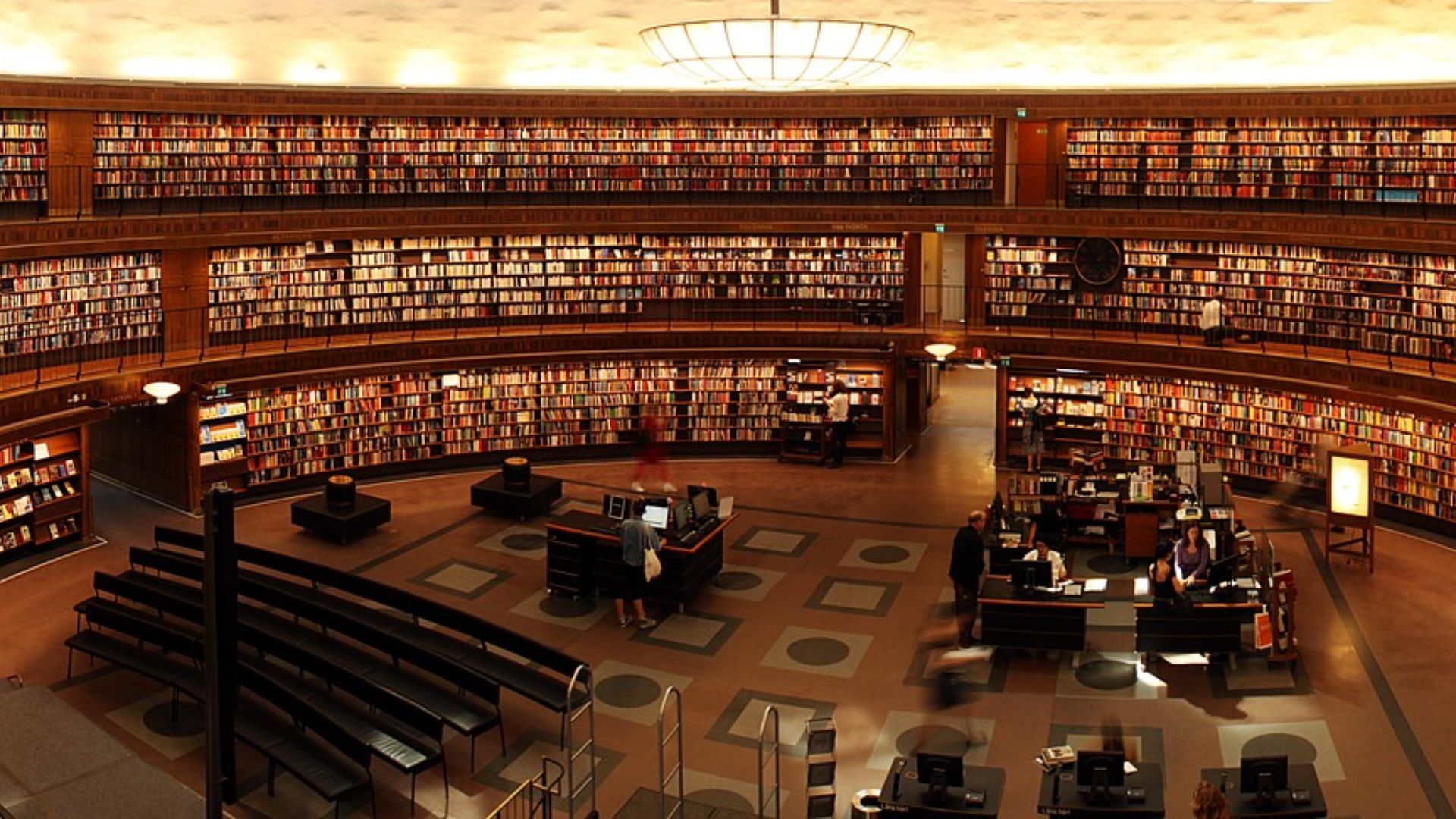 15. Avez-vous une carte de bibliothèque ?