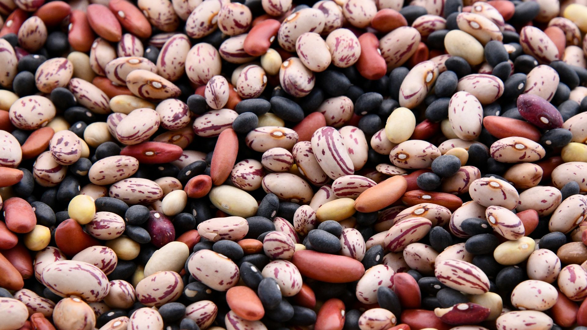 9. Aliments d'origine végétale