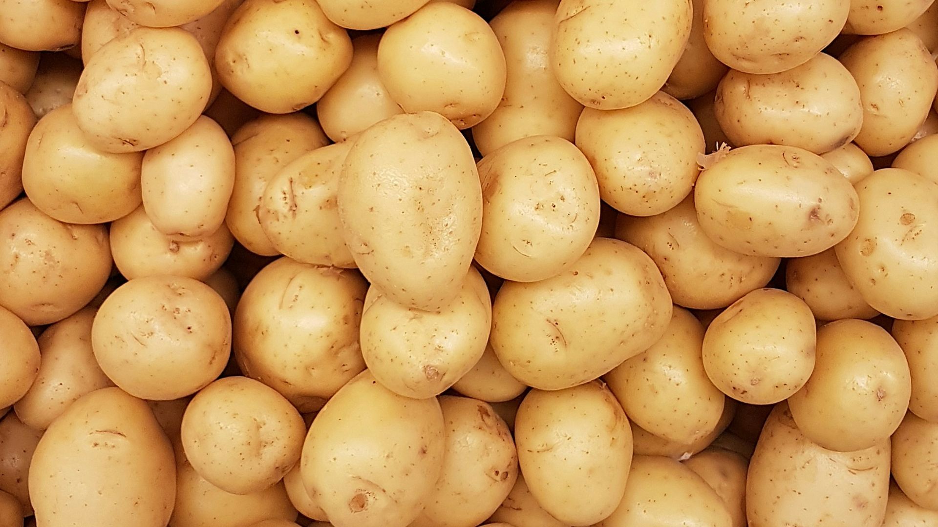 4. Utilisez des pommes de terre