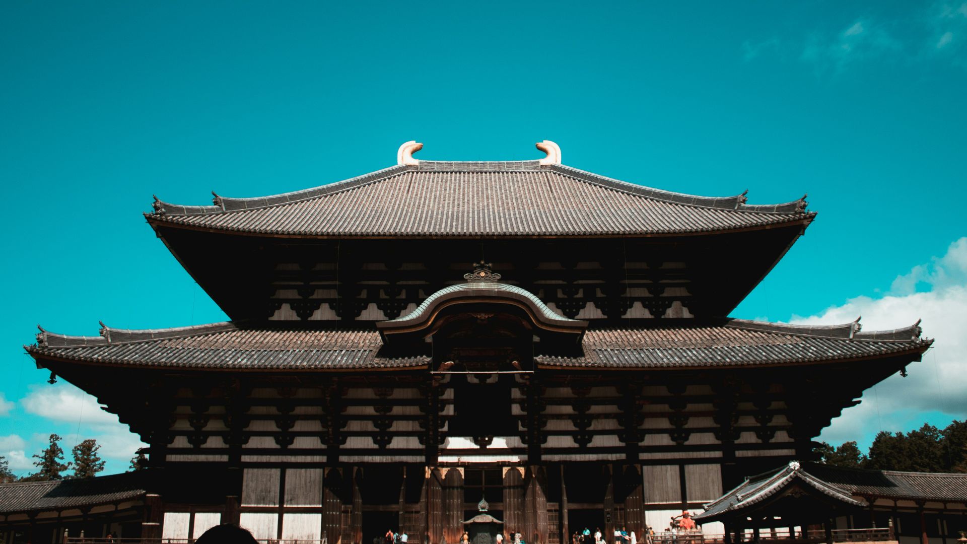 17. Toji