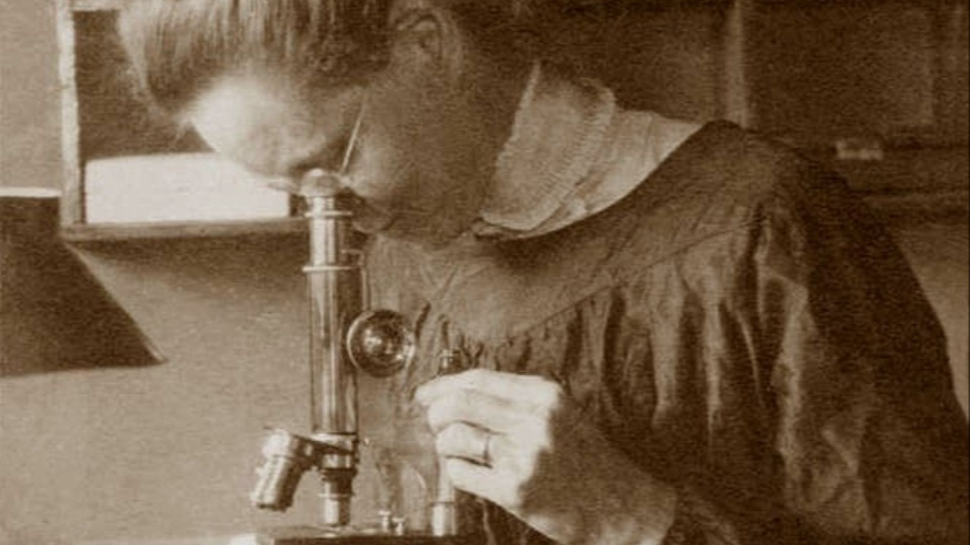7. Nettie Stevens