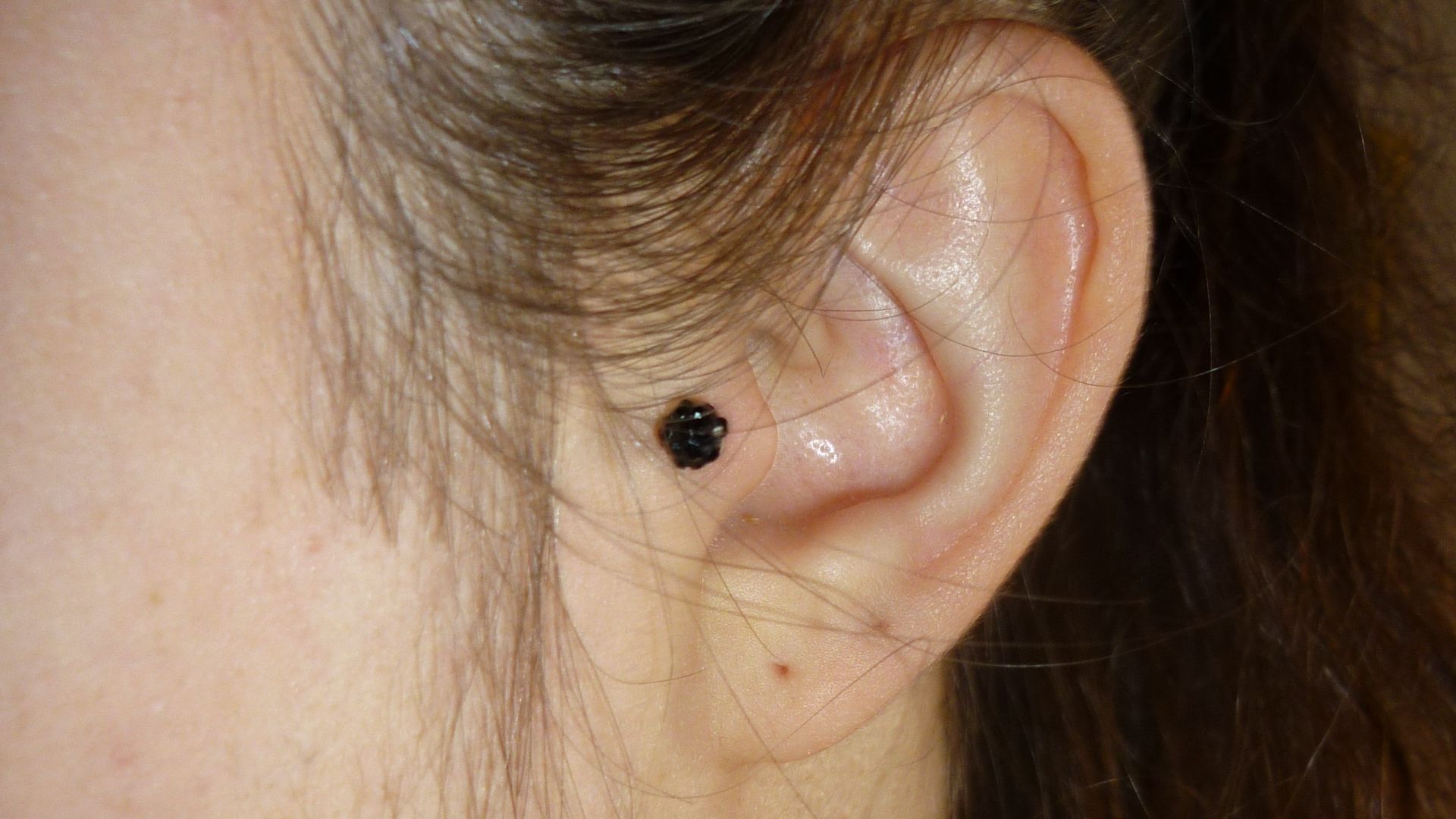 11. Un piercing délicat au tragus