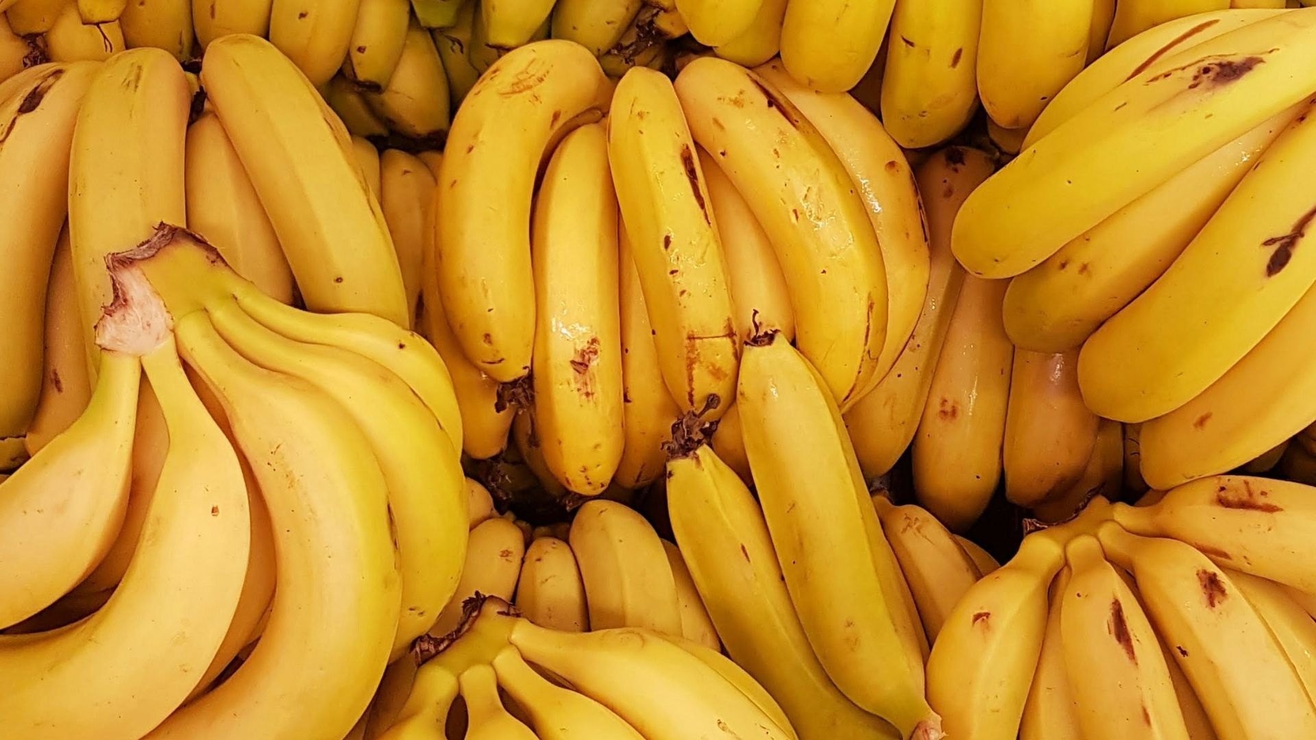 14. Les bananes