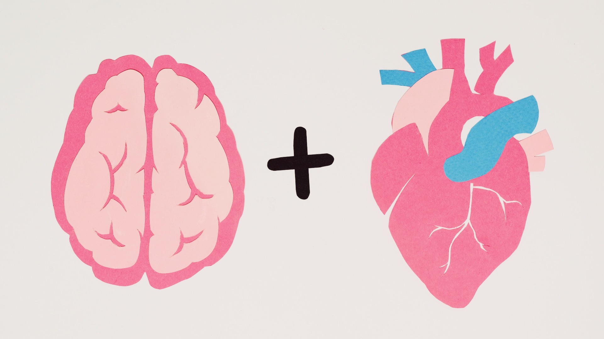 10 raisons pour lesquelles votre cerveau est votre organe le plus important et 10 façons dont votre cœur le surpasse