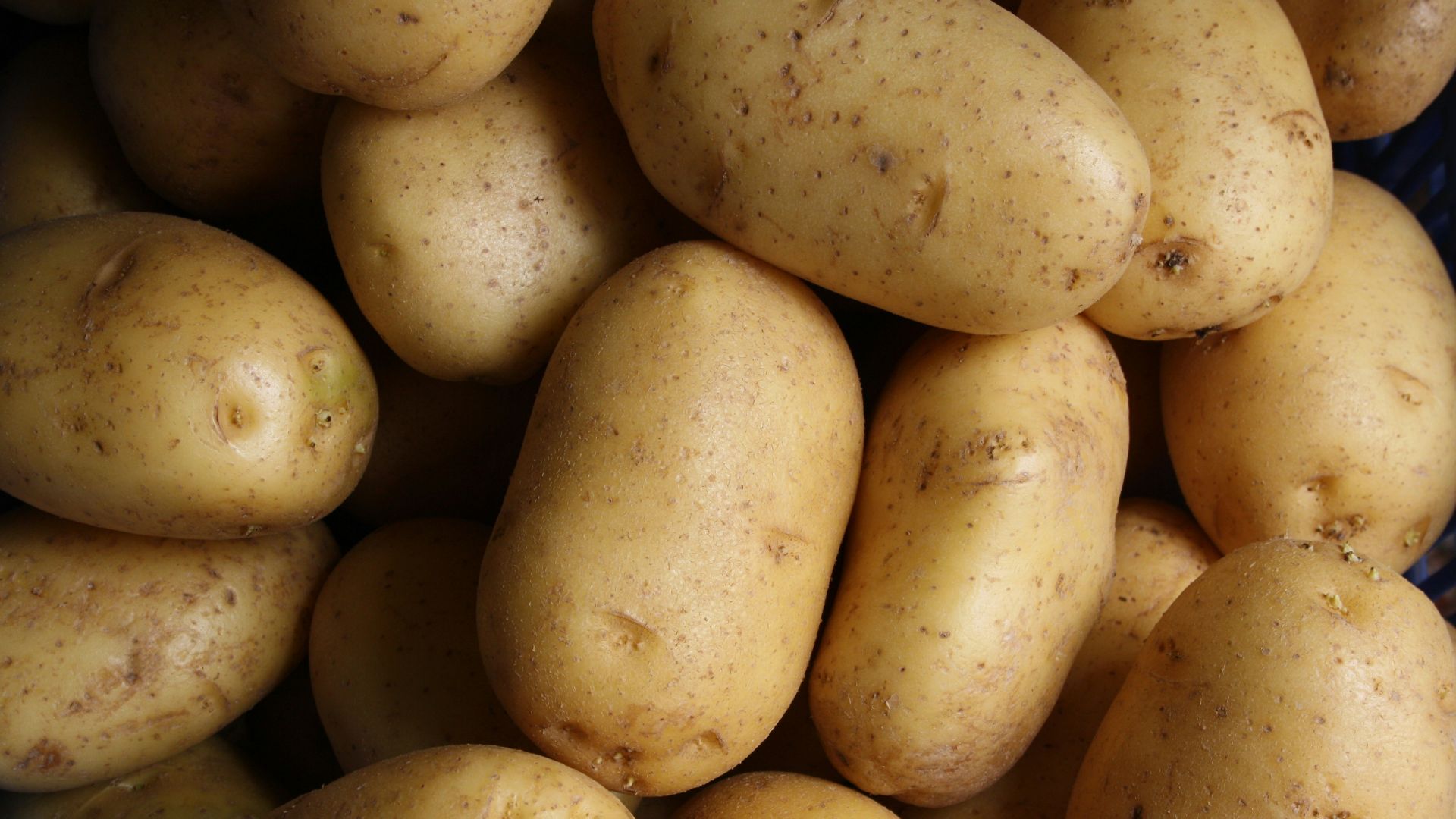 2. Les pommes de terre ont été tenues pour responsables de la maladie
